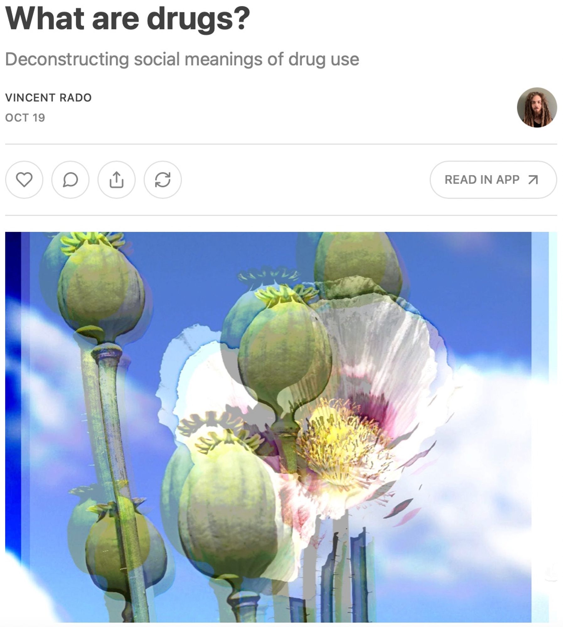 A square image shows the following text: "What are drugs? Deconstructing social meanings of drug use" above a photo of opium flowers with beautiful clouds in the background passing through a Blue Sky ;)