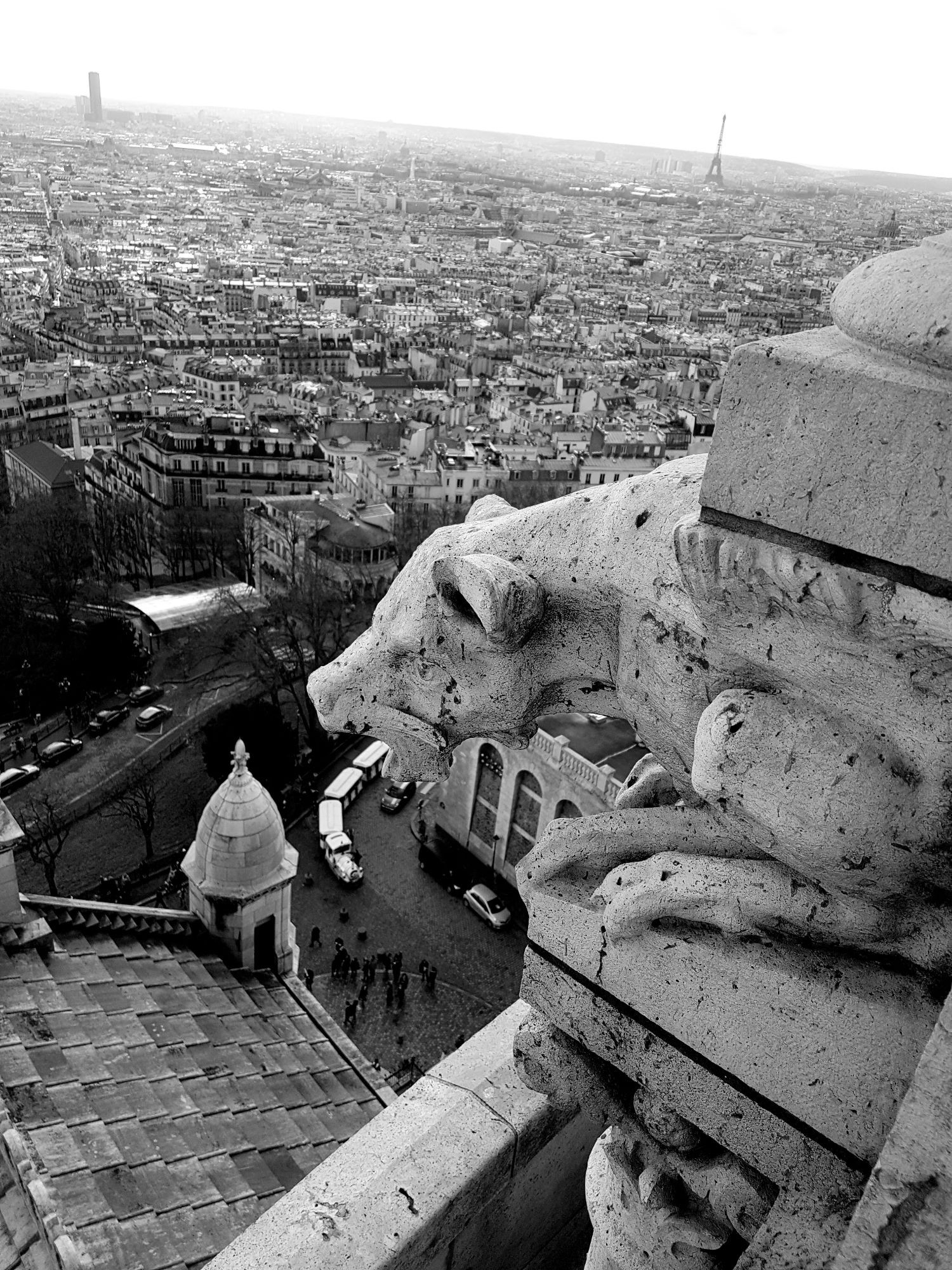 The profile of a gargoyle high up in Sacrè-Coeur with Paris sprawling in the background. Tye Eiffel tower is in the distance.