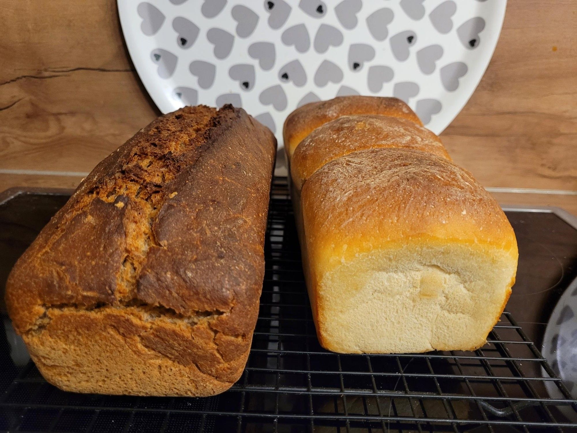 schwarzes Auskühlrost mit 1 Kastengraubrot und 1 selbst gebackener Toast