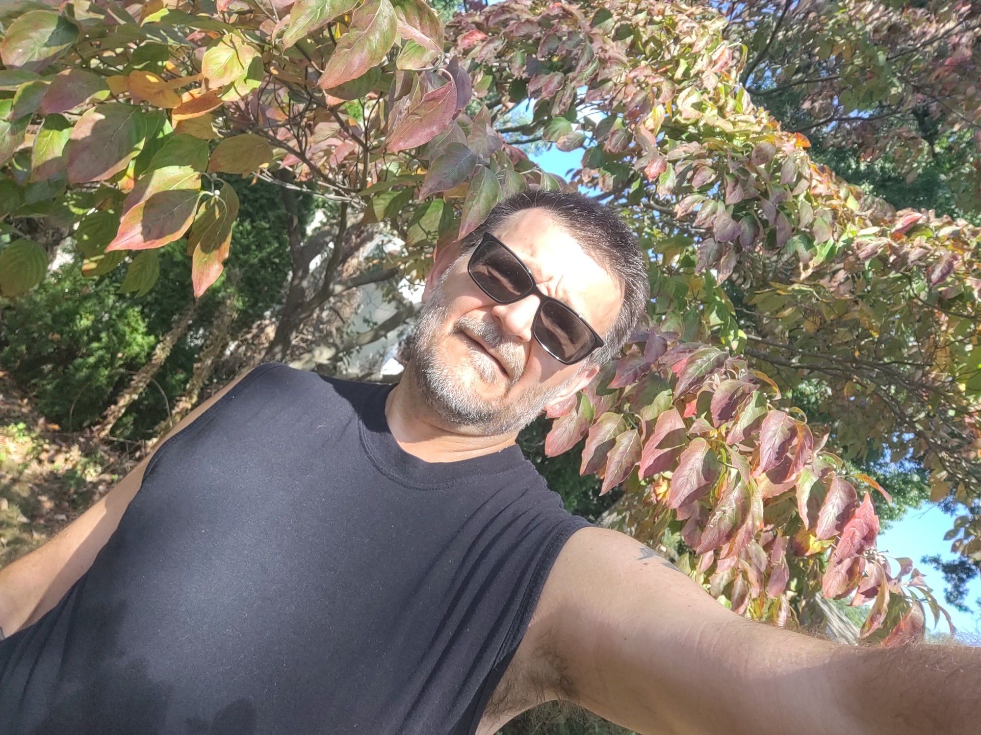 Me in a sweaty black muscle shirt and sunglasses. I'm outside in the sun in front of a dogwood tree that's leaves are turning red.