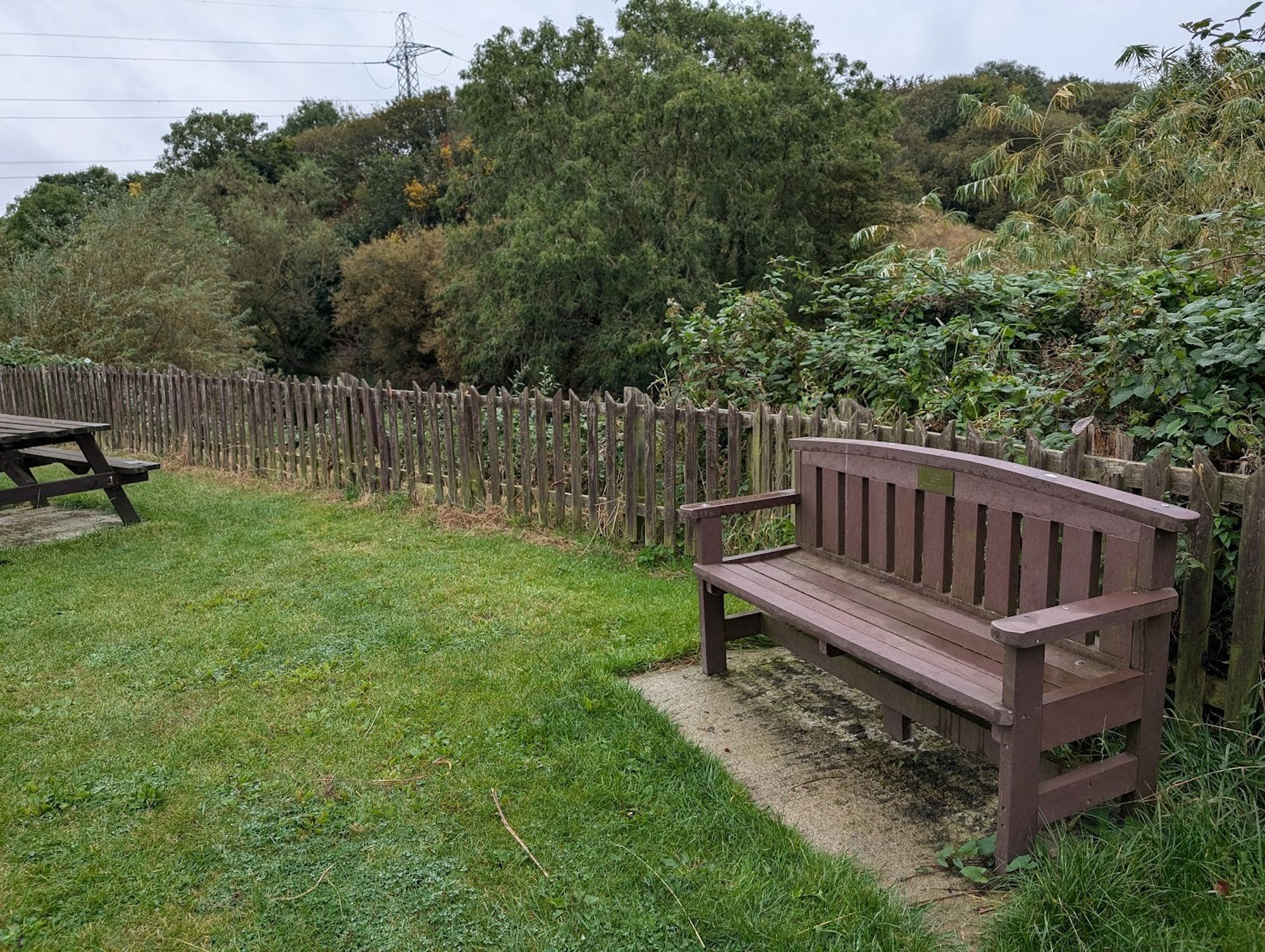 Dad's bench near the river at Rodley Nature Reserve