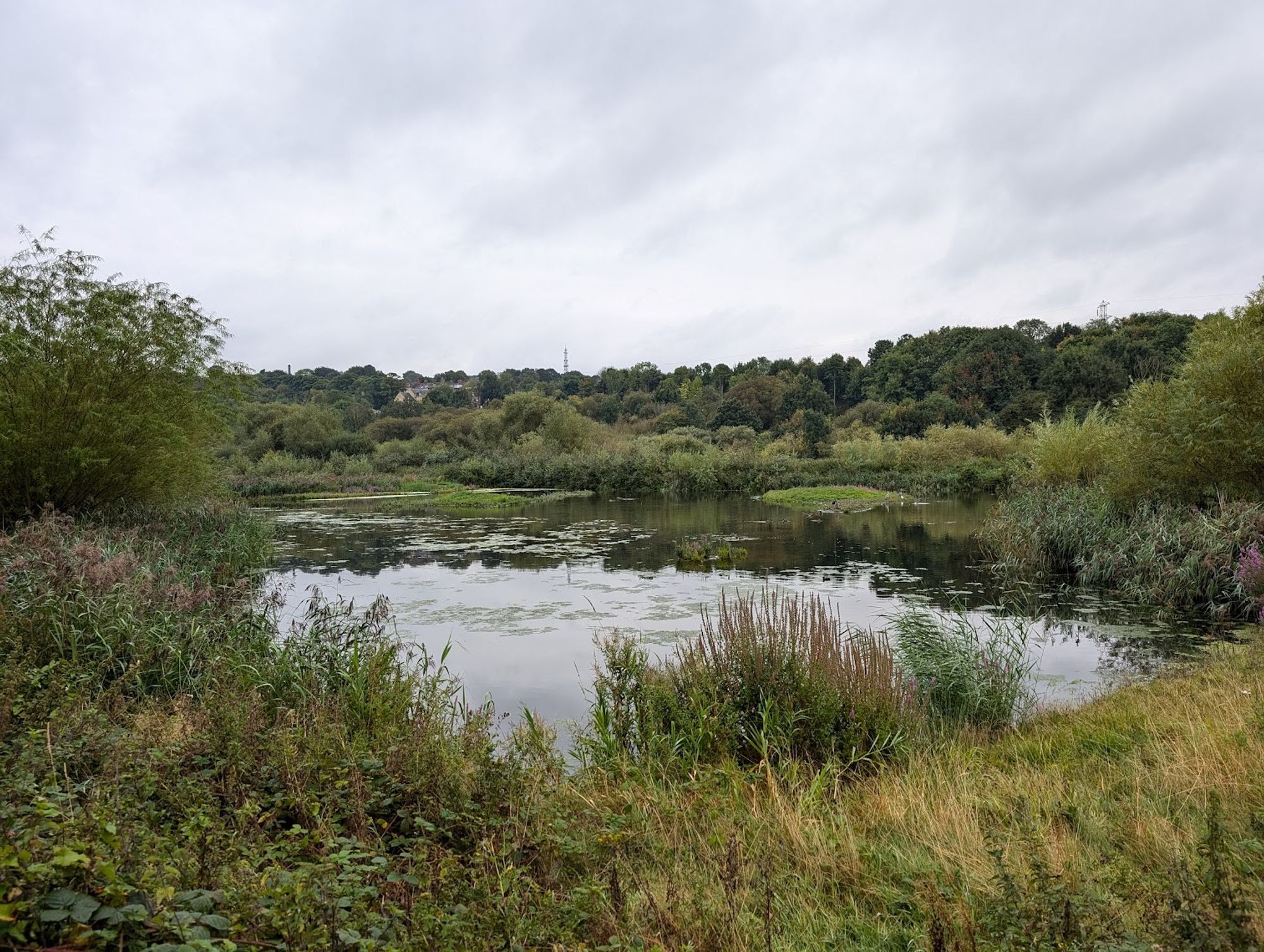 A view of a lake from a bird hide at Rodley Nature Reserve