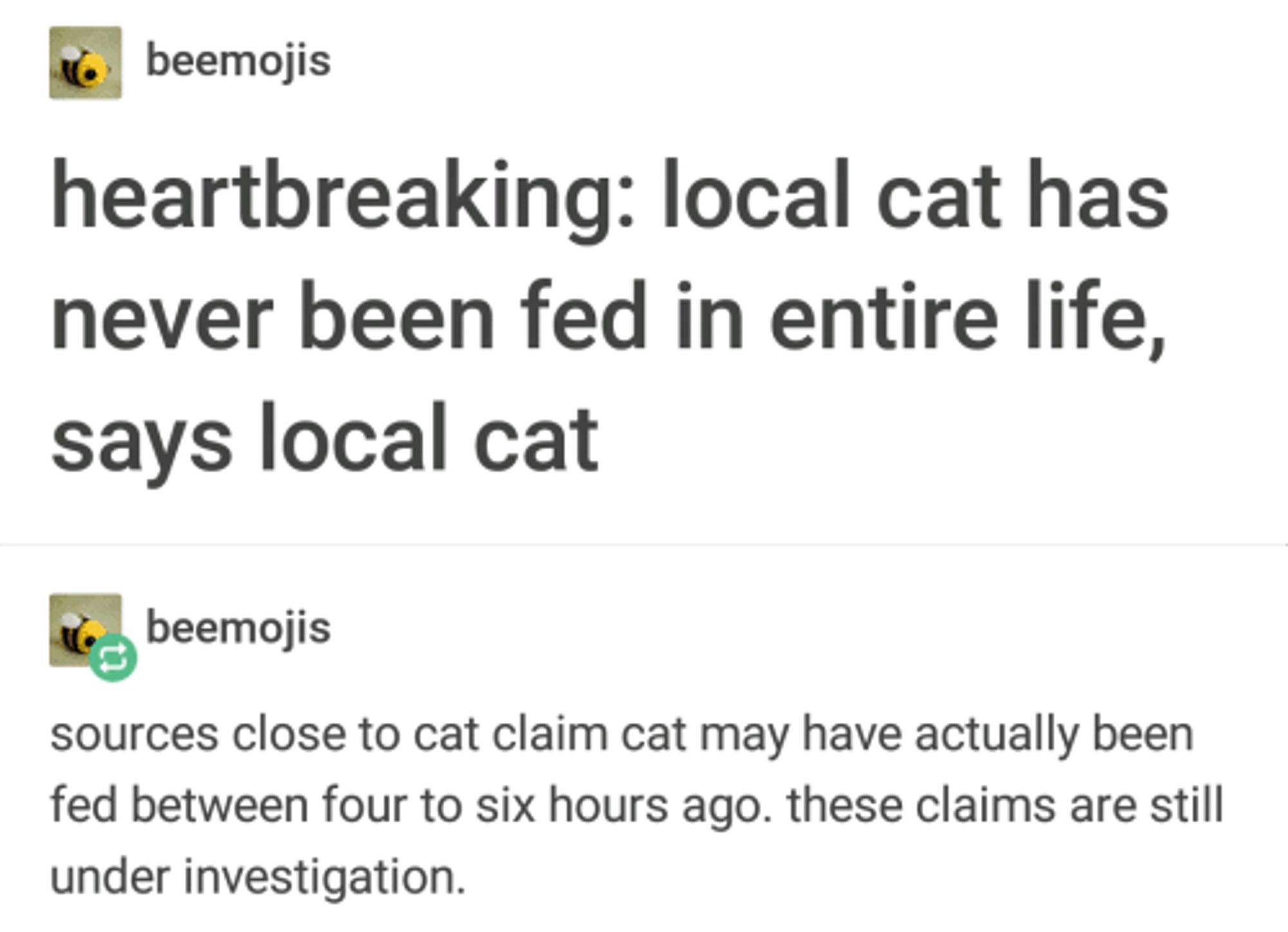 Tumblr post from beemojis: heartbreaking: local cat has never been fed in entire life, says local cat

reblog by beemojis: sources close to cat claim cat may have actually been fed between four to six hours ago. these claims are still under investigation. 