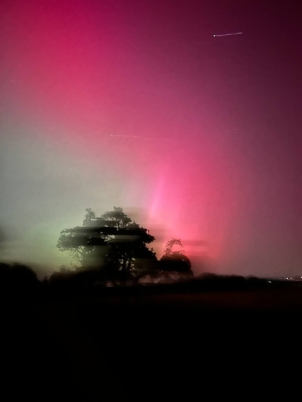 Foto der polarlichter über Süddeutschland. Eine Schwarze verwaschene Silhouette eines baumes im Vordergrund, grün/roter farbverlauf am Nachthimmel.