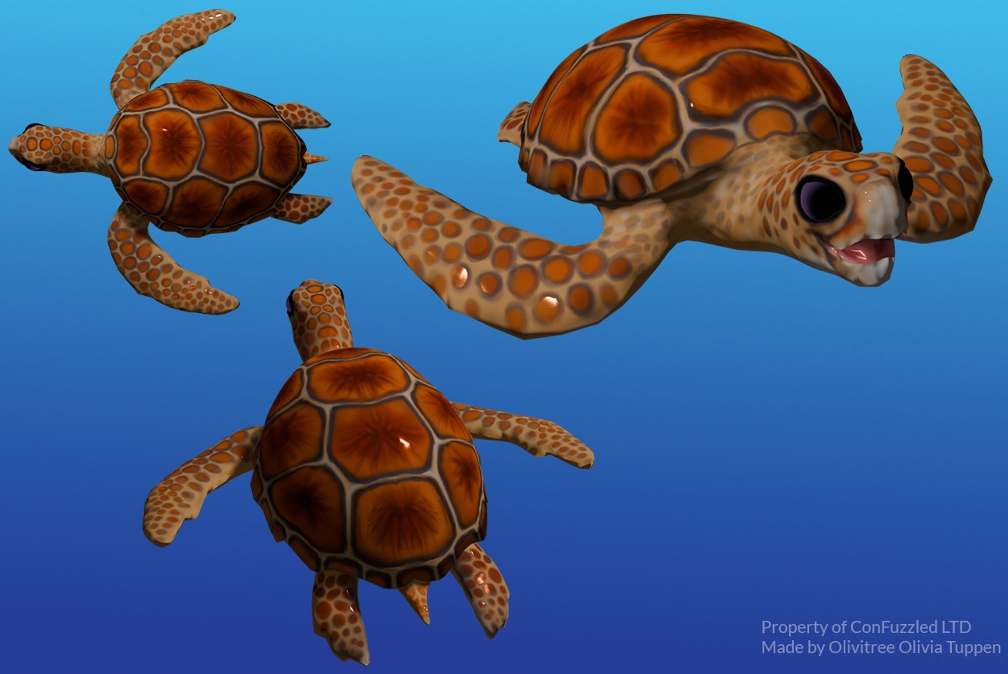 Loggerhead turtle 3D model from 3 angles.