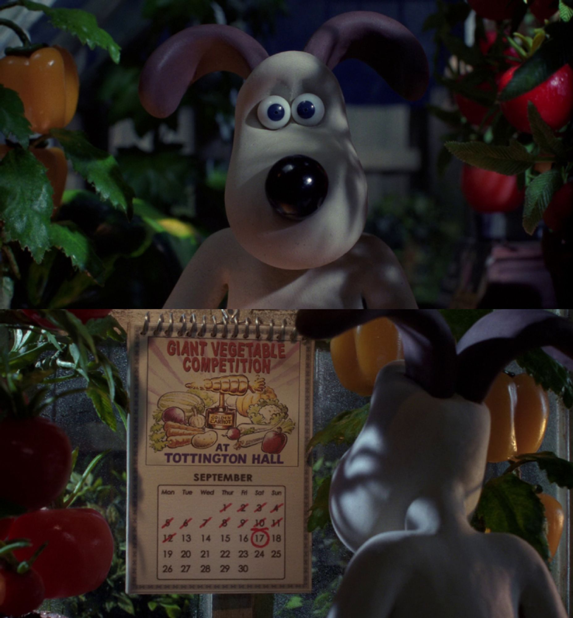 2 Screens from the movie. First, a close up of a dog staring directly at the camera. It's in a greenhouse with vegetables around it. Second, we see the dog is looking at a calendar with "Giant Vegetable Competition At Tottington Hall" in letters at the top, with September 17 circled