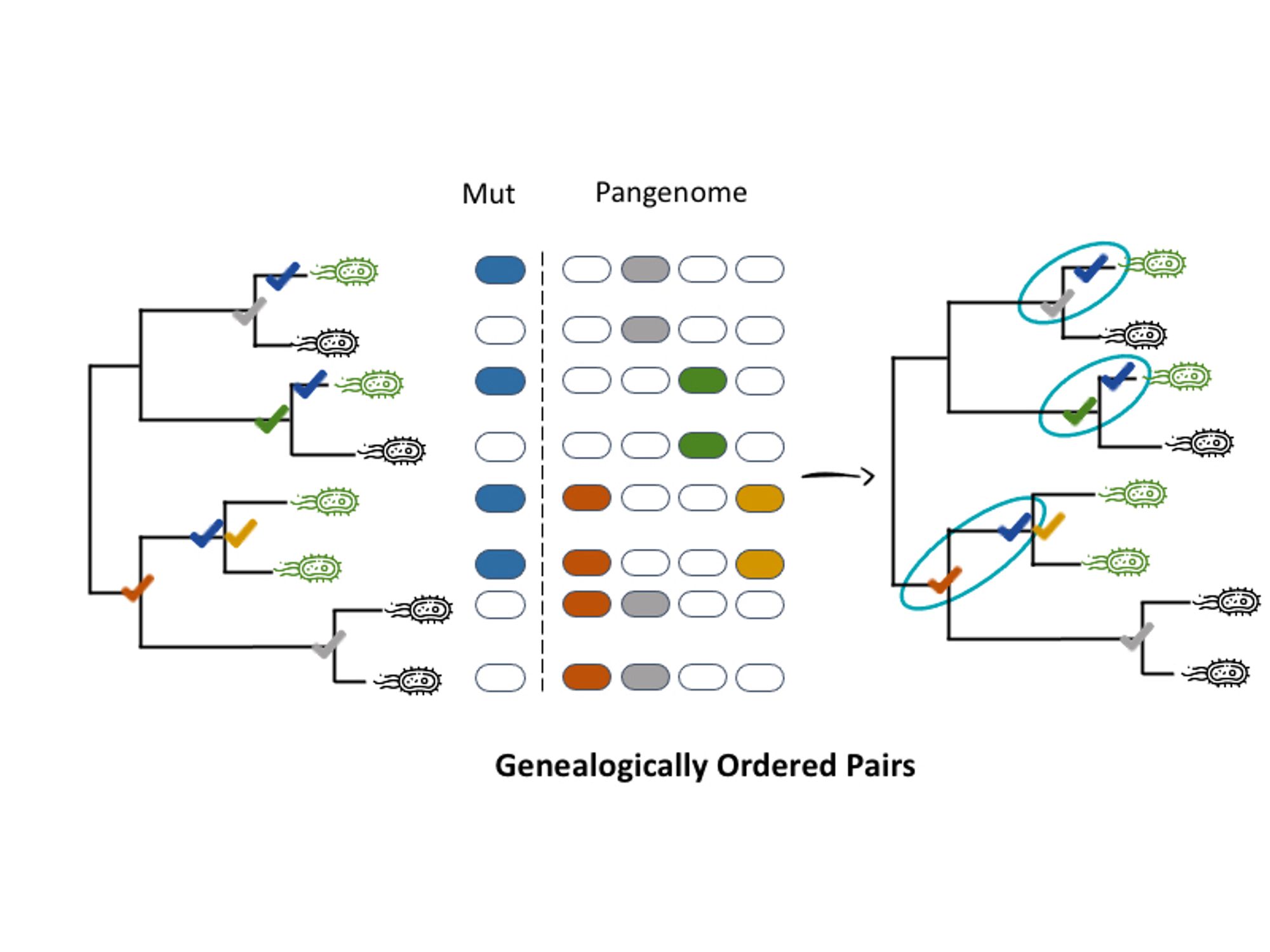 Establishing chronologies