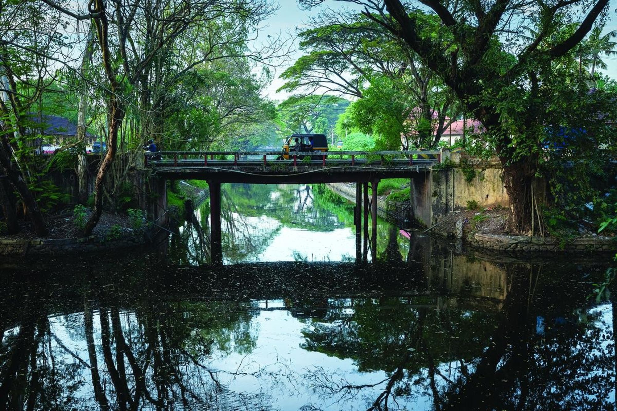 A color photo of an outdoor scene, showing an autorickshaw crossing a short bridge on beams over a canal. There are trees on both sides, the colors are saturated greens and the trees are reflected on the surface of the water of the canal.