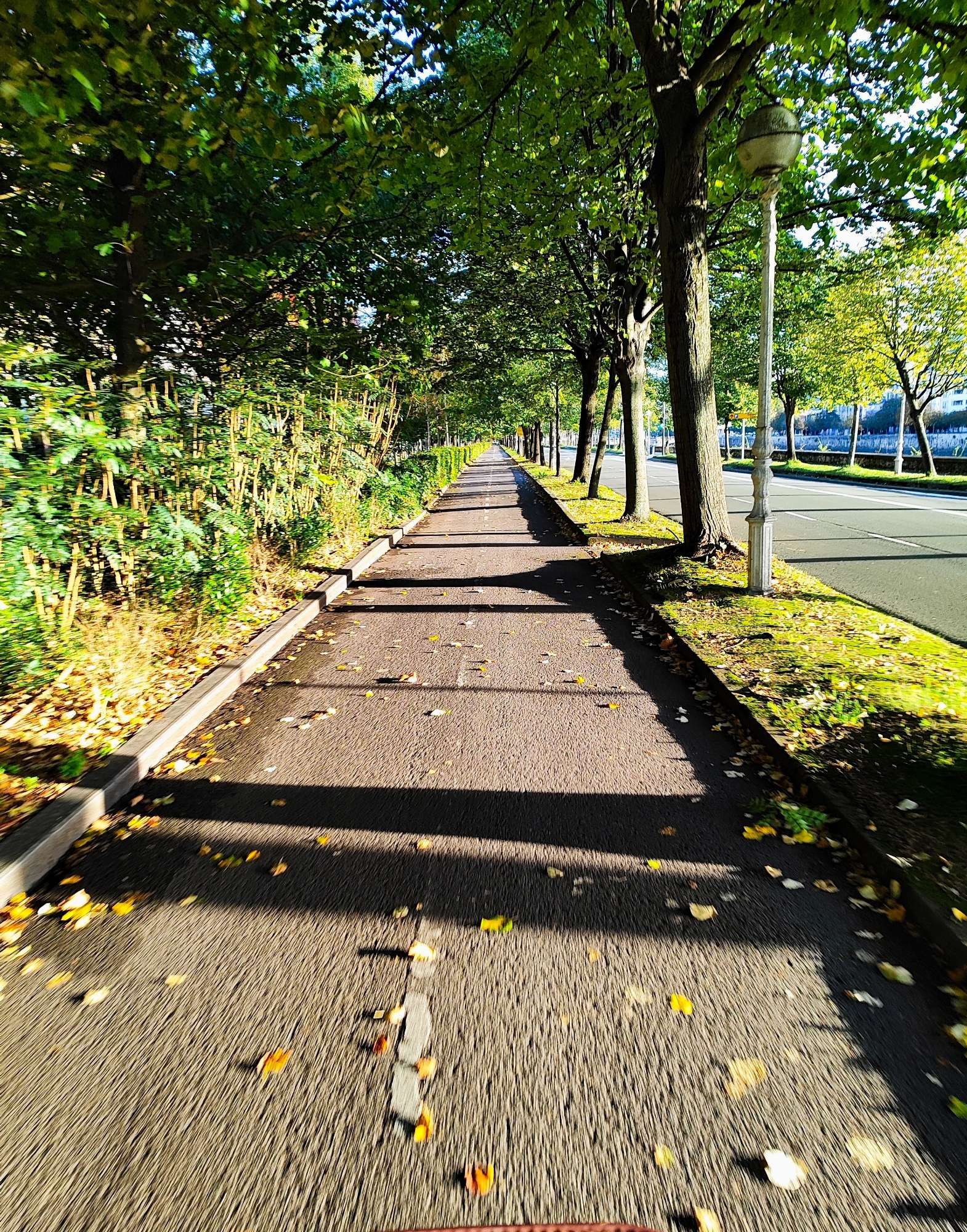 foto dun carril bici donostiarra