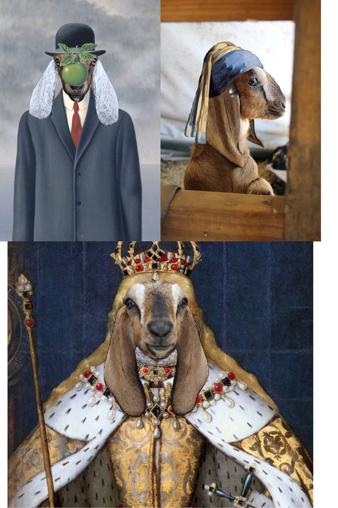 Famous pieces of art edited to have goat heads:
The Son of Man, Rene Magritte
Girl With The Pearl Earring, Johannes Vermeer
?? some royalty guy ??