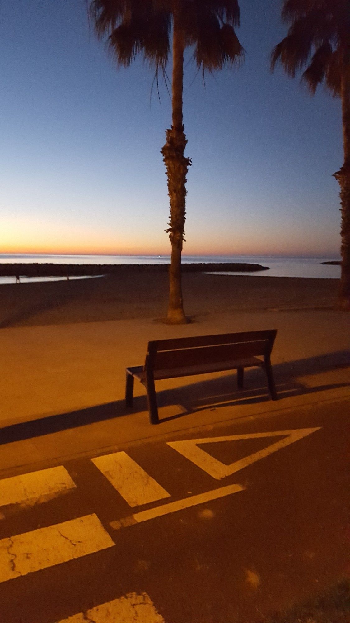 Straße, Strandpromenade, Meer & Himmel im Morgengrauen. Auf der Straße die für Spanien typischen Pfeile vor Zebrastreifen. Bildmitte eine Parkbank & 1,5 Palmen. Untere Bildhälfte geblich-braun, obere Blauschattierungen, Horizont orange-gelblich von bald aufgehender Sonne