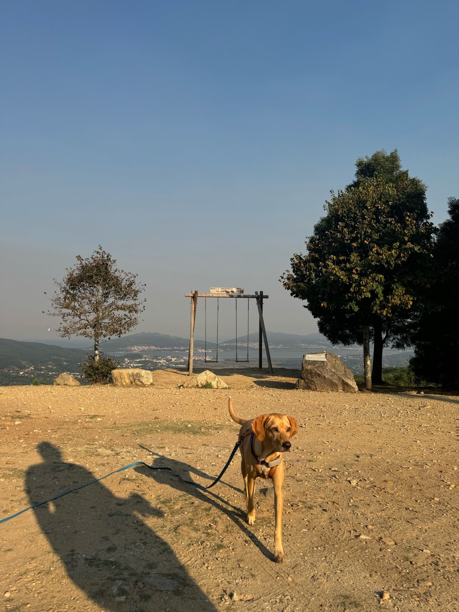 Lokis Nase glänzt in der Sonne, im Hintergrund eine große Schaukel, weiter hinten Blick auf Berge