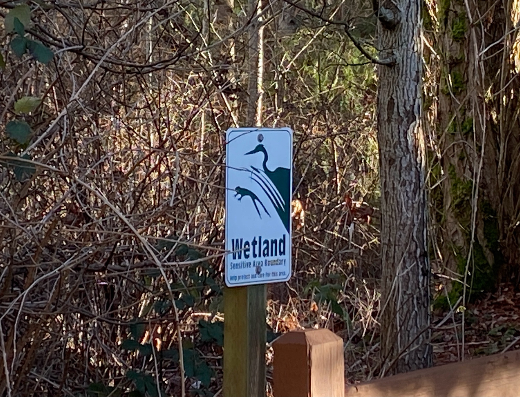 A wetland sign of ambiguous design