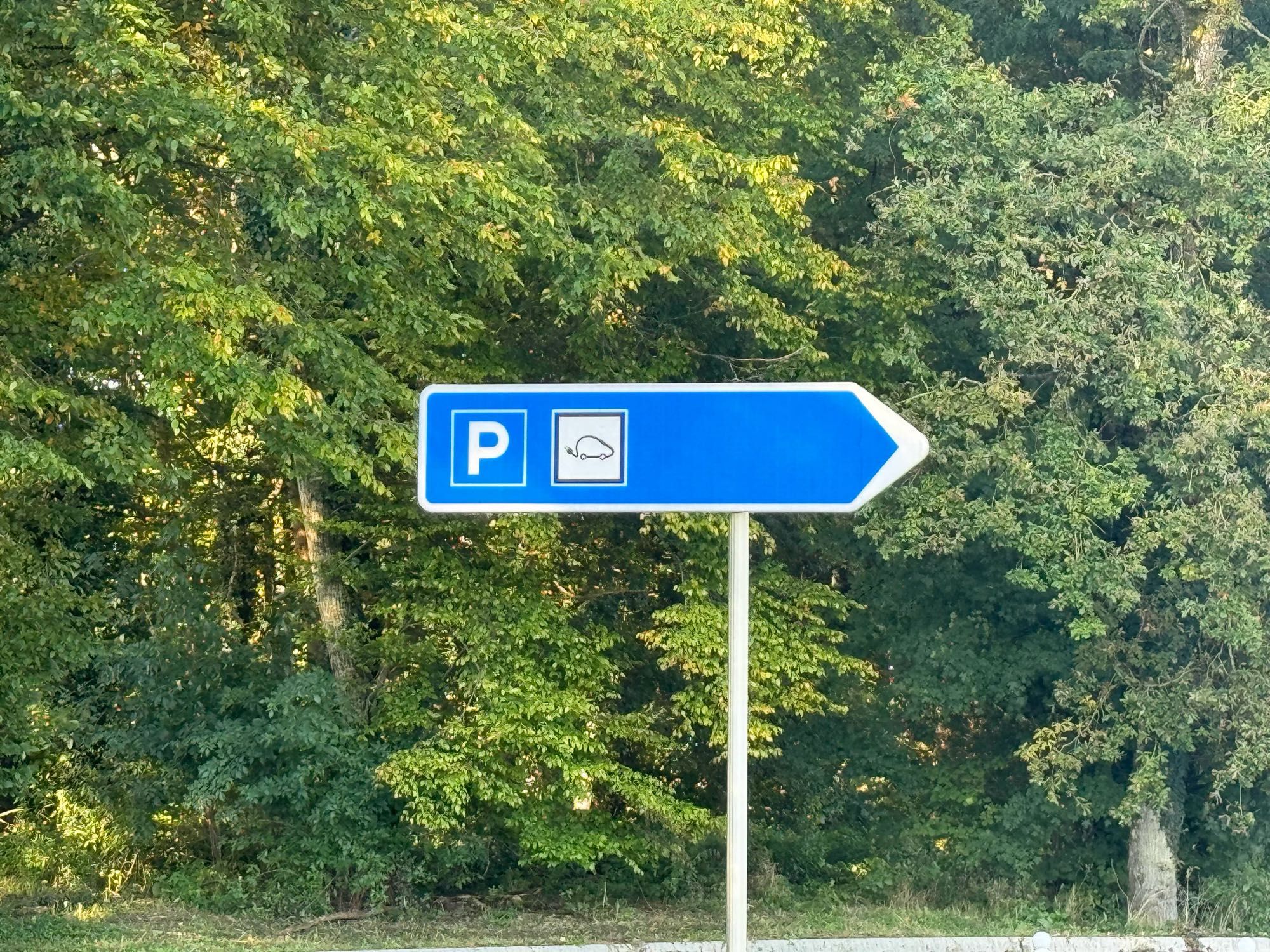 Ein blaues Verkehrsschild in Pfeilform, darauf ein Hinweis auf Parkplätze und ein Piktogramm eines kleinen Elektroautos, das die Form einer Maus hat und an dessen Heck ein kleines Kabel mit Stecker rausguckt.