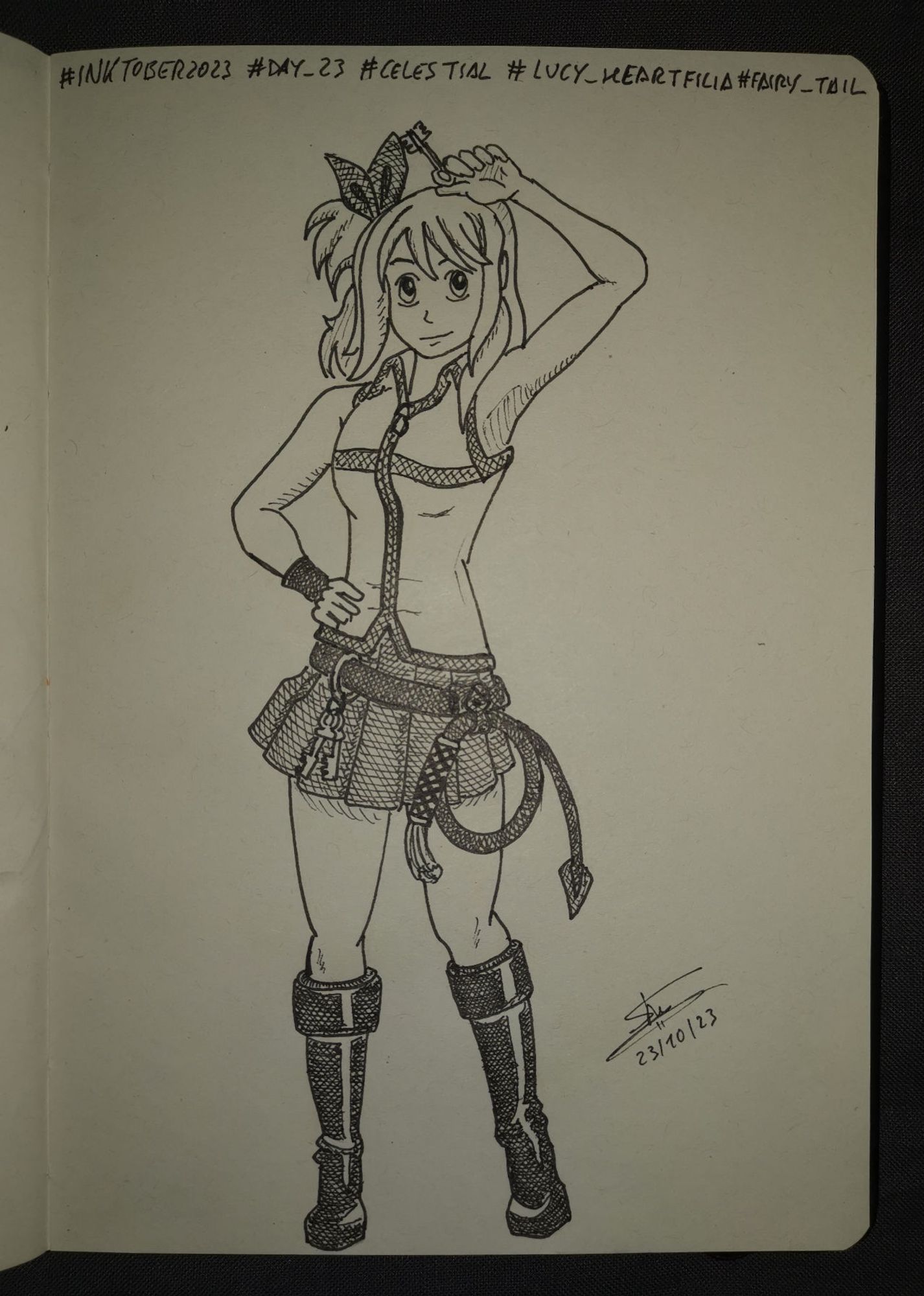 Dibujo hecho a tinta de Lucy Heartfilia, dónde la podemos ver con su blusa de cremallera blanca sin mangas, ribeteada en azul que forma una cruz azul sobre su pecho; también lleva una minifalda azul plisada, un cinturón del que cuelgan varias llaves y un látigo de su costado izquierdo, con unas botas altas.