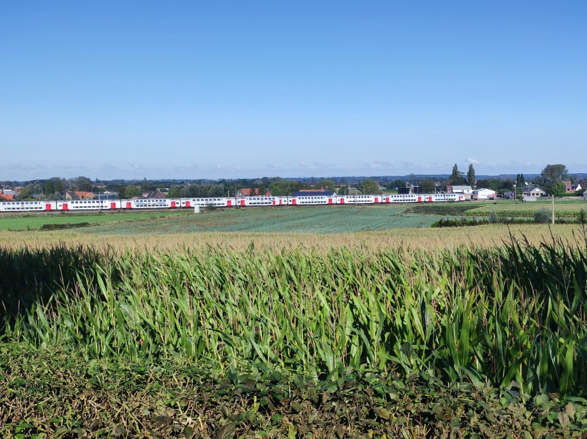 Het Hoogleedse landschap in de blauwe lucht, met een trein die het landschap doorklieft.