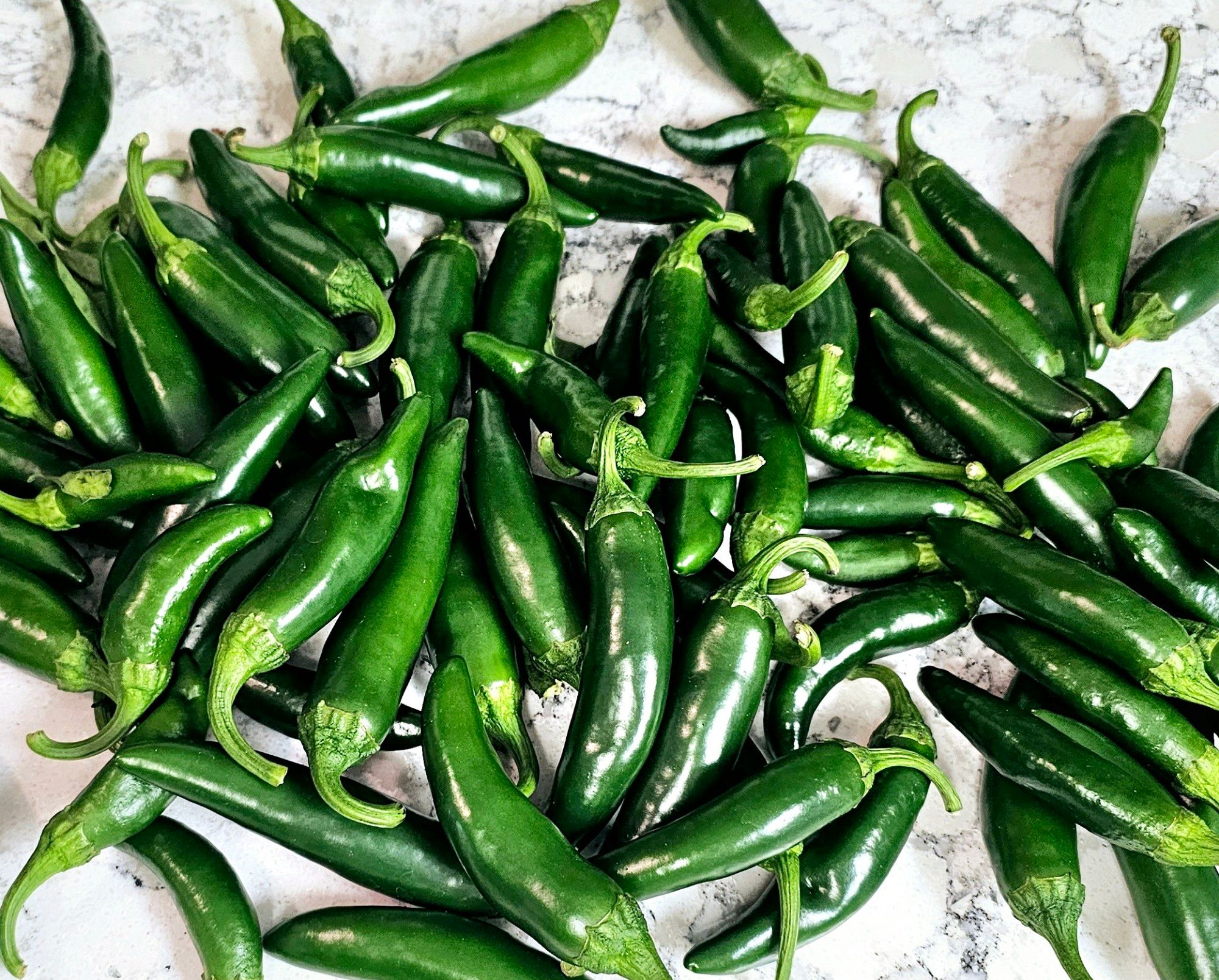 Home grown jalapeños