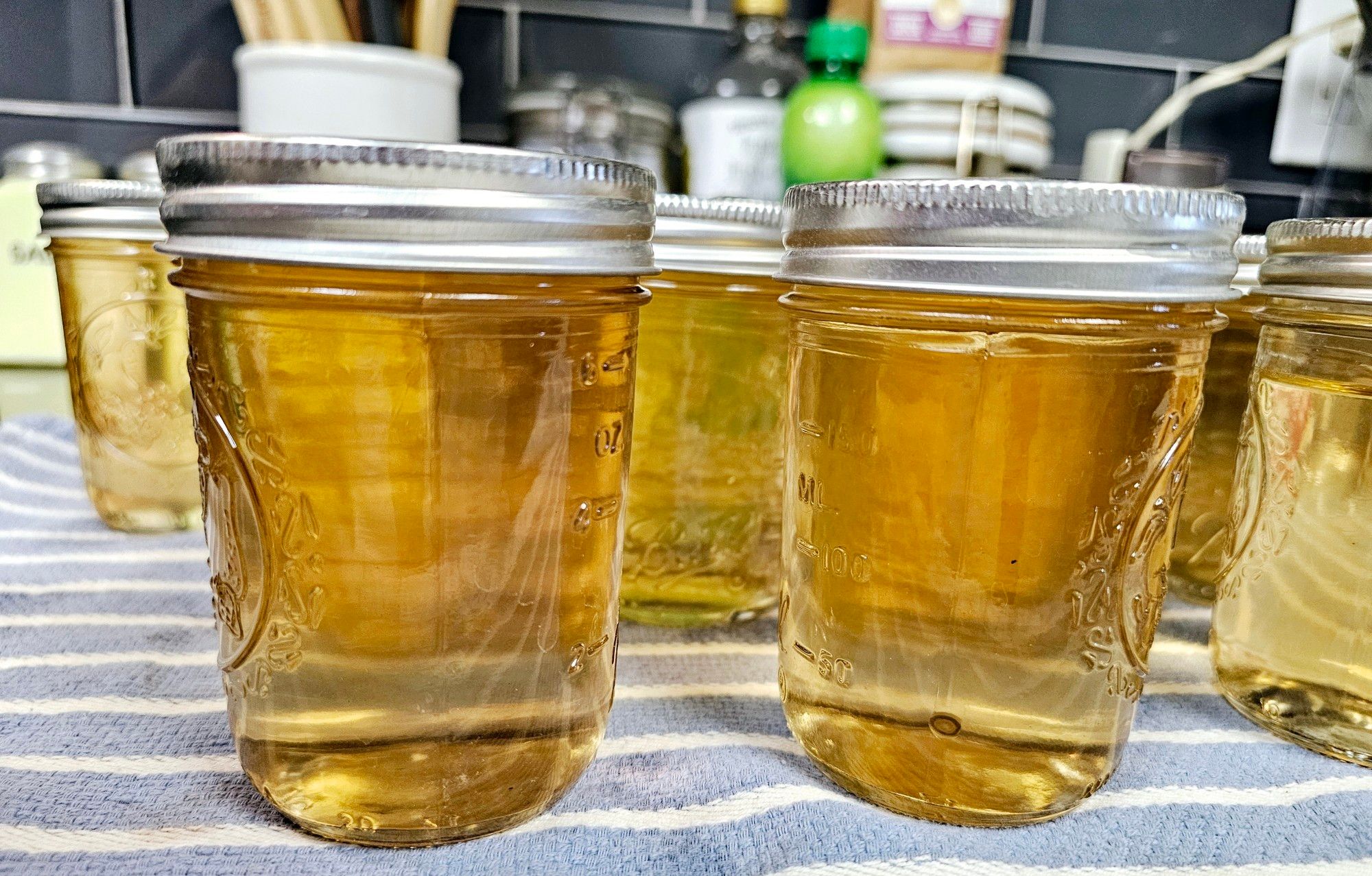 Homemade apple jelly