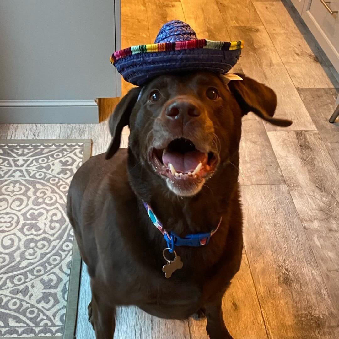 Nonsense in a hat 😒