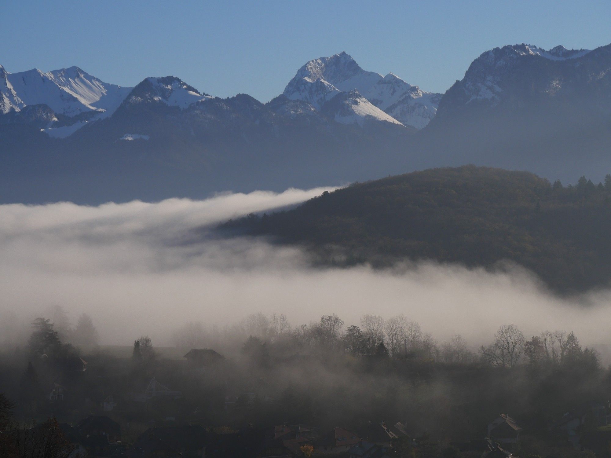 Détails de brume, des arbres qui dépassent, des sommets enneigés en arrière-plan