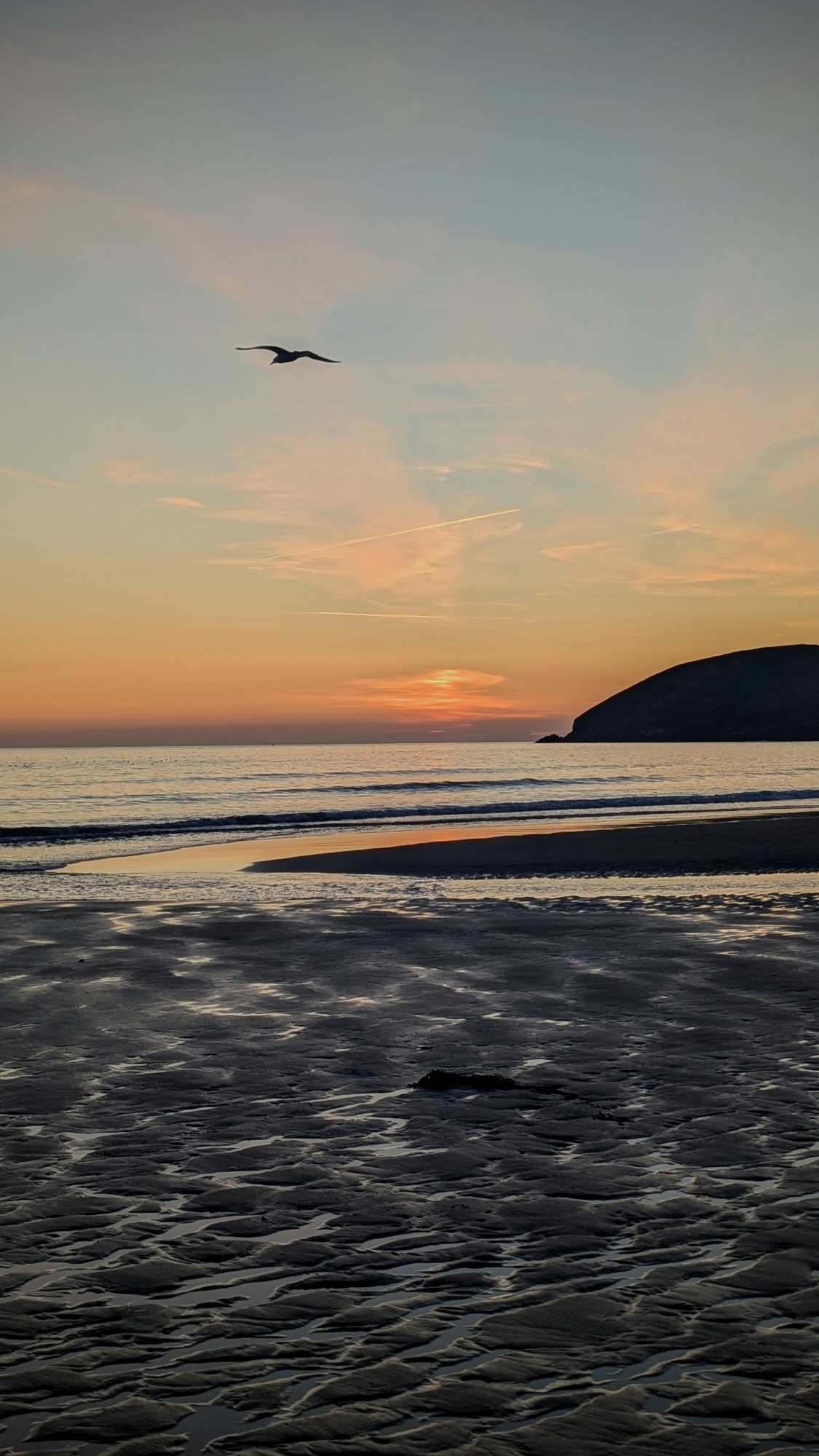 A gull flies over the beach towards the sea as the sun sets over Croyde Bay. July, 2025. Devon, England, UK. 
