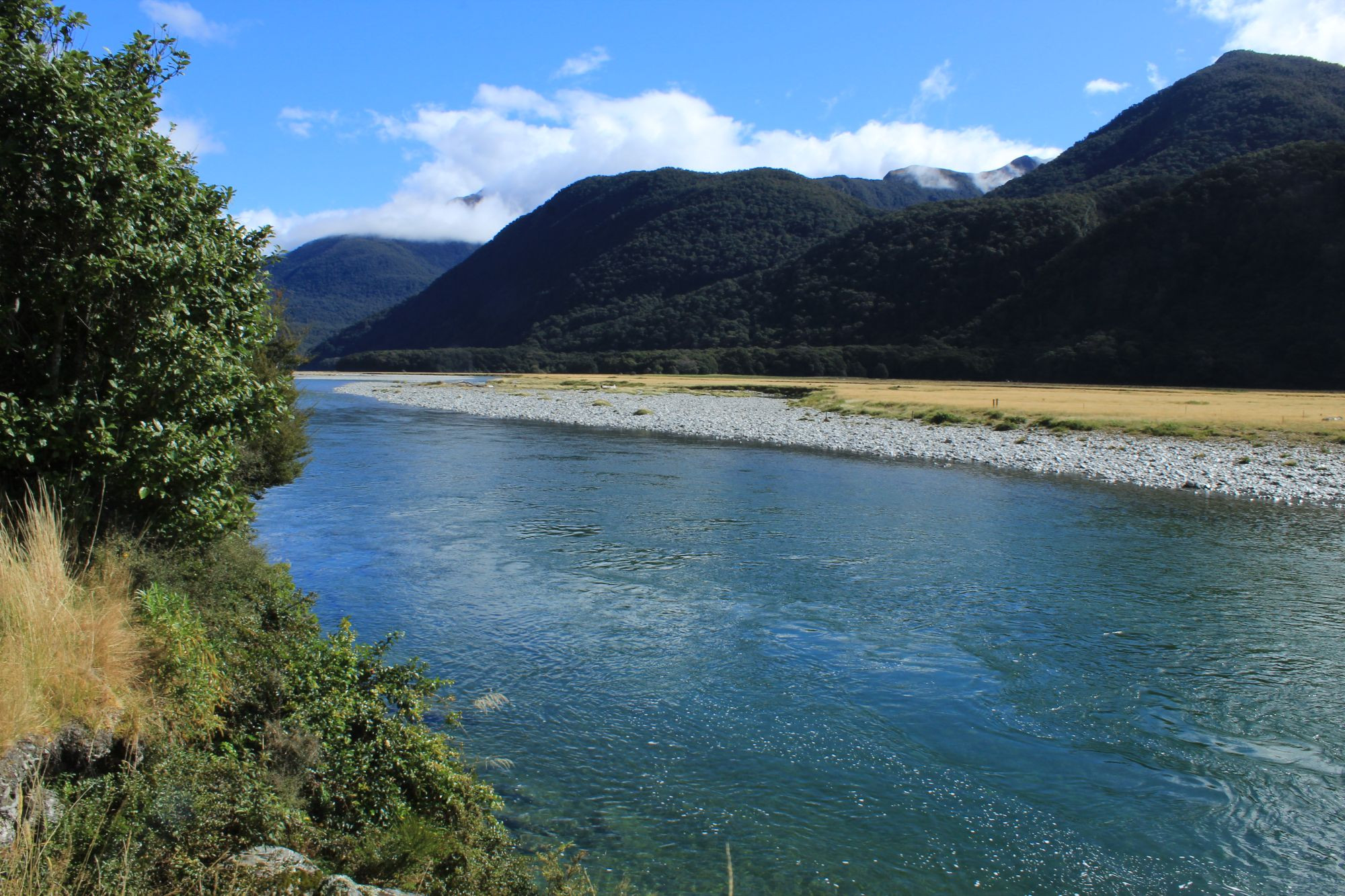 A clear river in Mount Aspiring National Park, New Zealand. Dark green leaves of trees cover the mountains in the background, with a few clouds in the sky. The water is clear and the riverbed is visible through it. To the left is the riverbank with a large shrub and yellow-green grass. The other riverbank is a gray stony field with yellow grass beyond it.