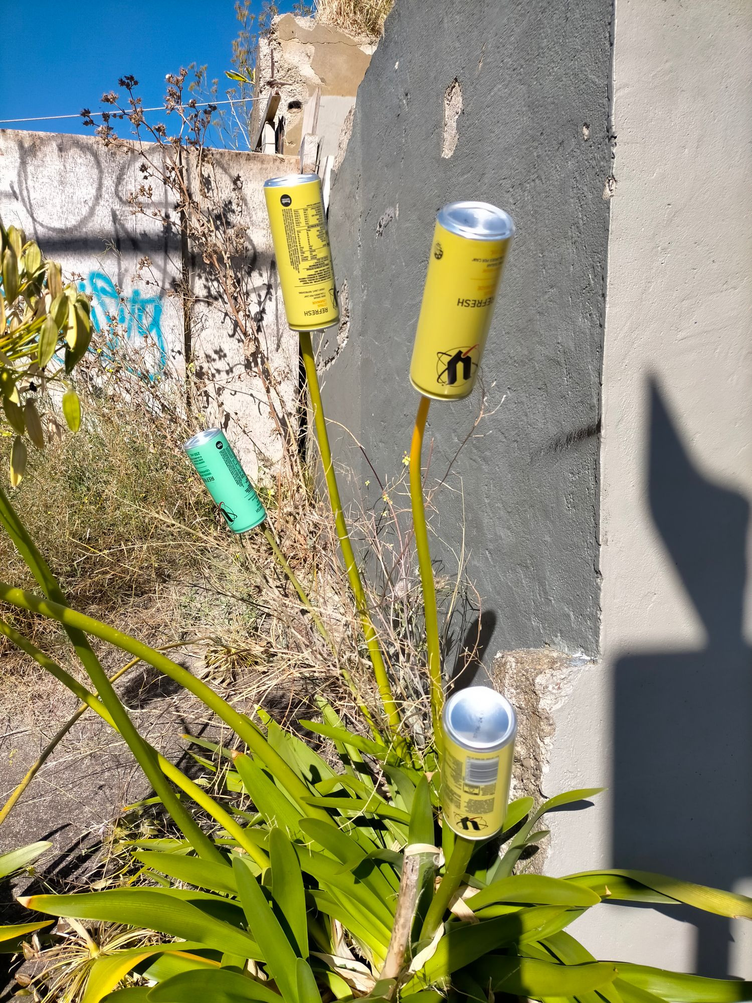 Plant to which some dipshits have attached a number of empty V cans