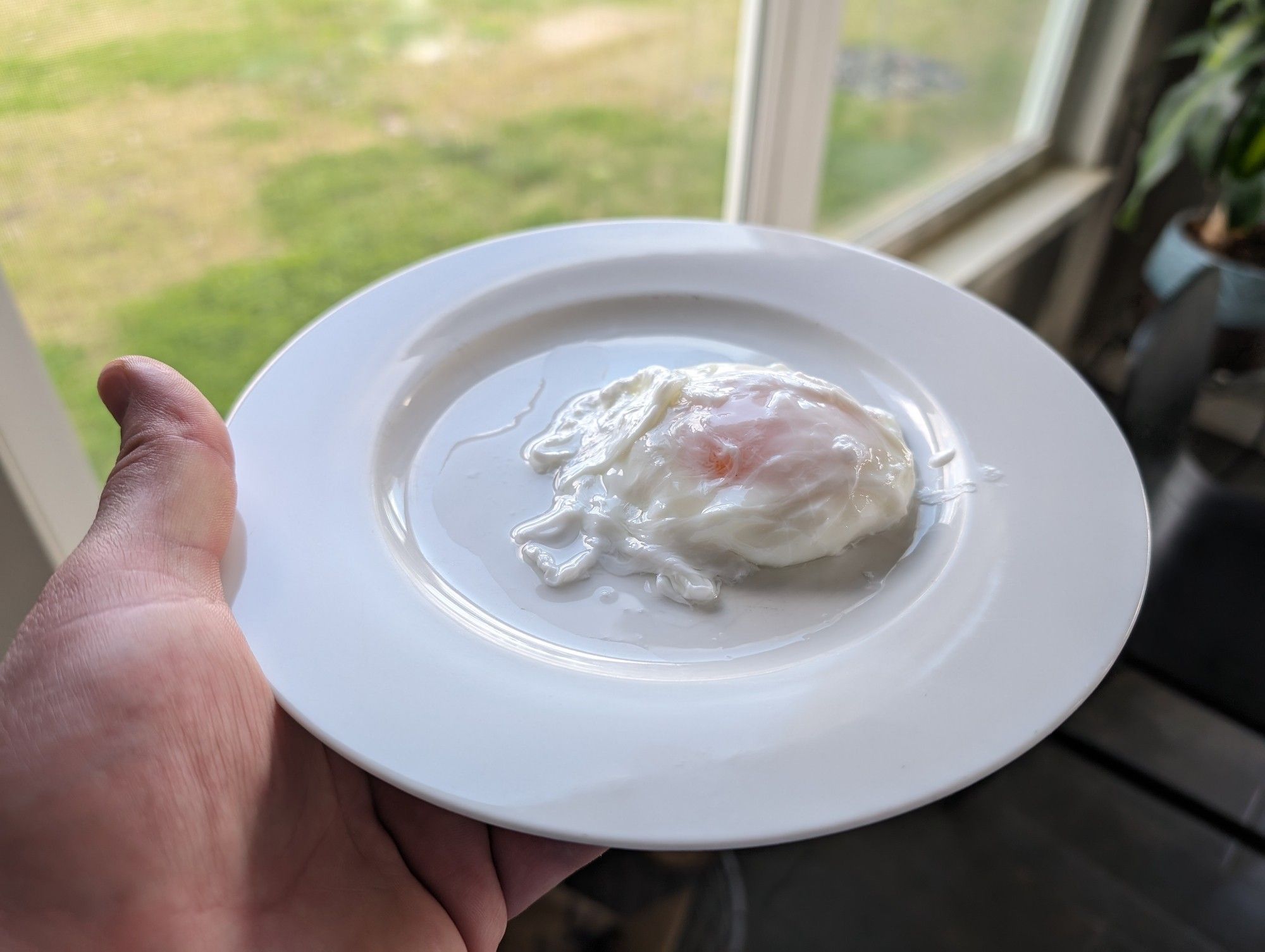 A poached egg on a white plate