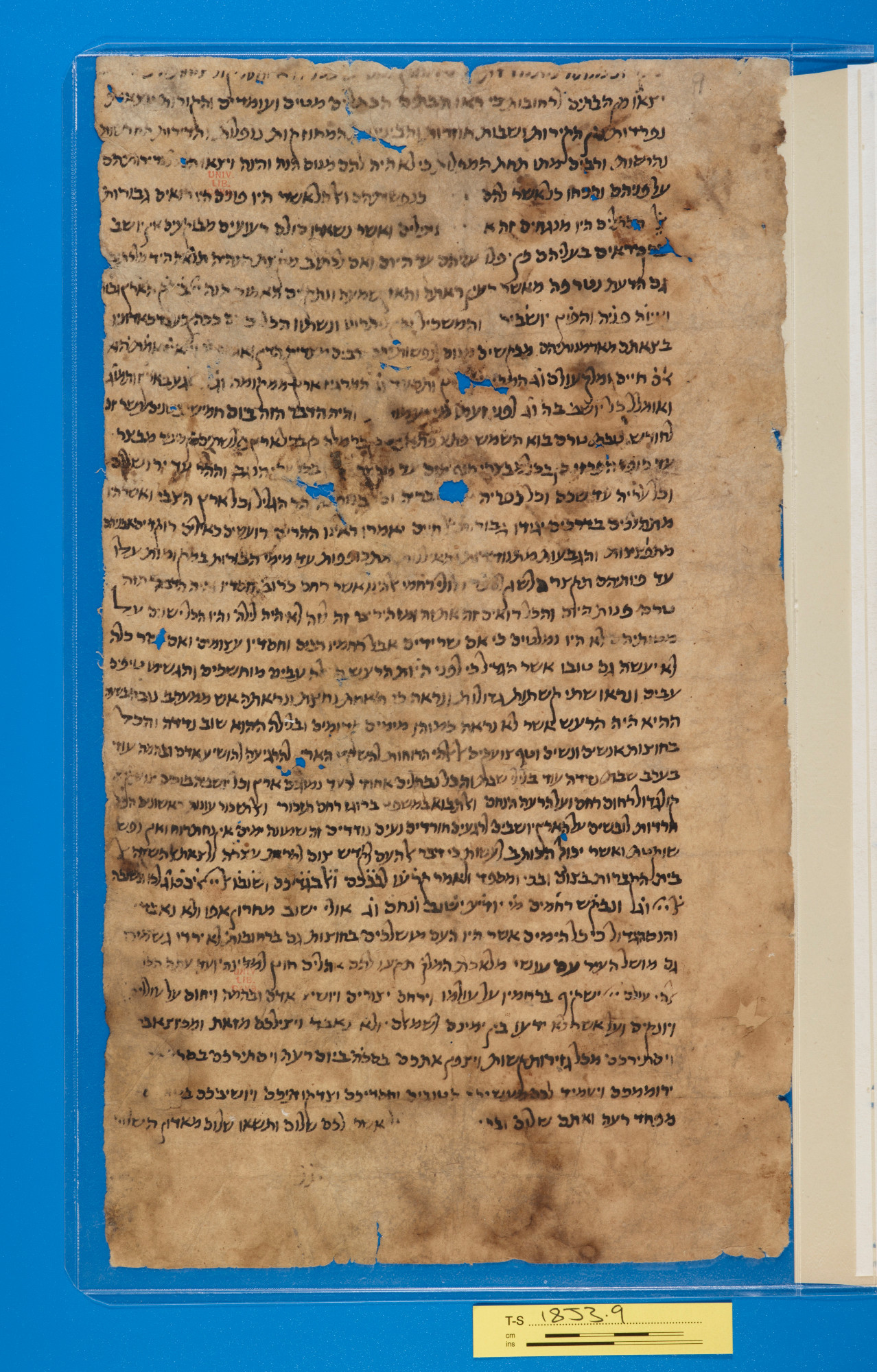 Long, rectangular manuscript with about 30 lines of handwritten Hebrew in black ink on cream-coloured paper. The document is stained from dirt and water damage, with numerous small holes in the paper revealing a blue background.