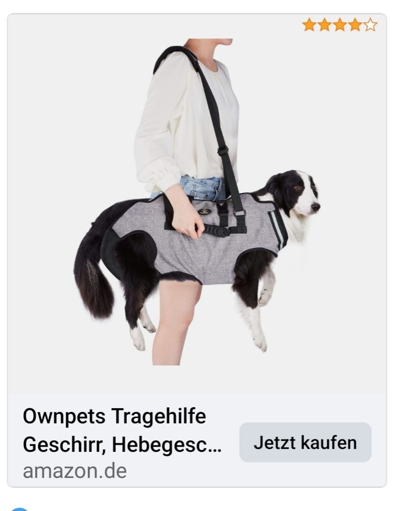 Eine Hunde Tragetasche für Hunde um die 20kg