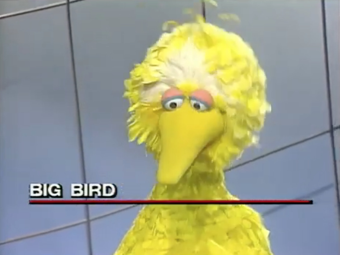 A sad looking Big Bird sitting in front of a TV studio backdrop and a chyron identifying him as BIG BIRD, he looks like he's regretting not spending the money on a NDA. 