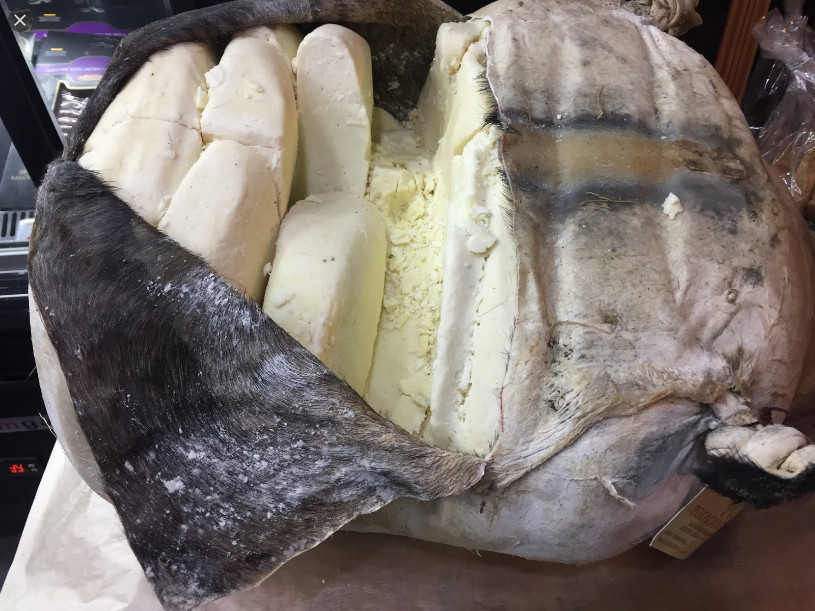 The goat skin, with the cheese stored in side white and semi-cylidrical