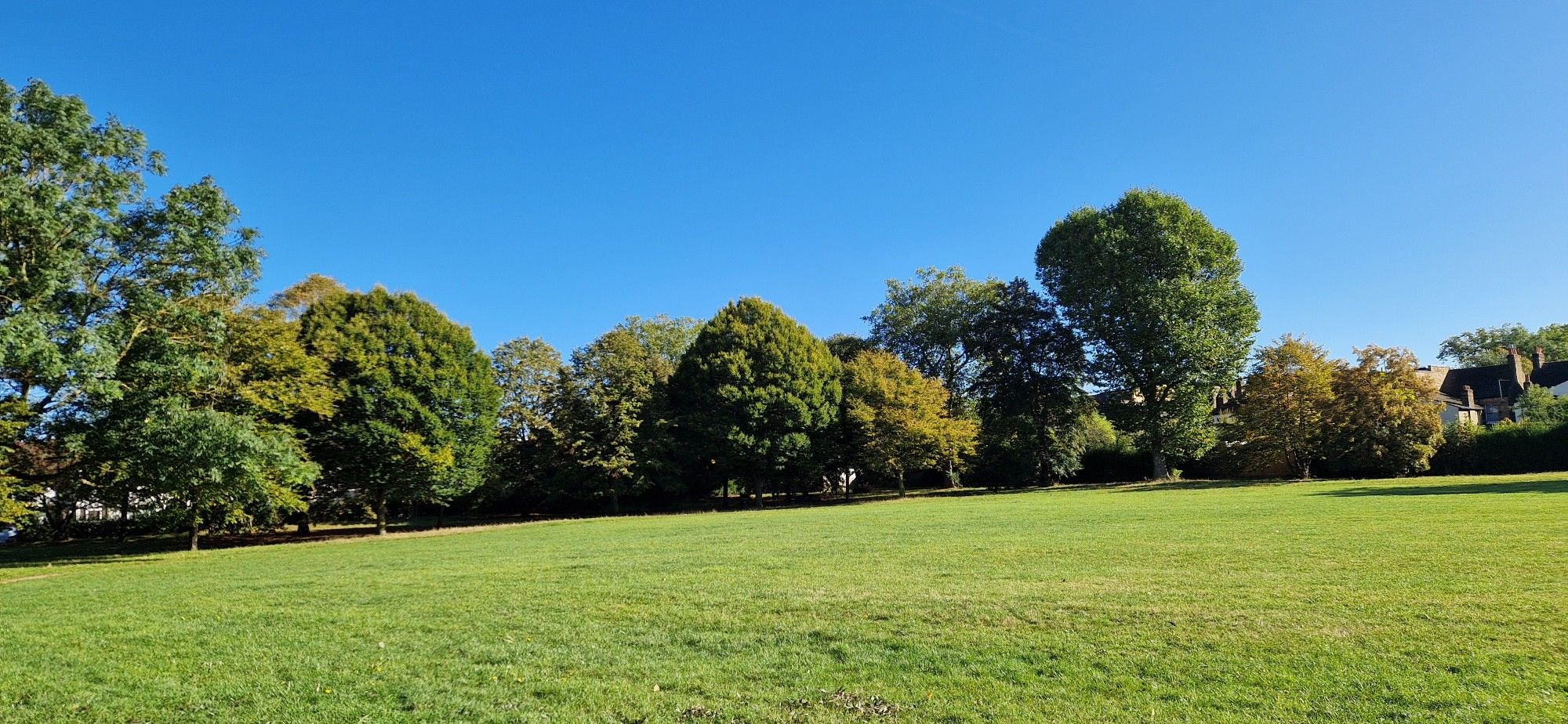 Park in West Ealing London,  sunny autumnal say, bright blue sky and grass with a pretty treeline in the background