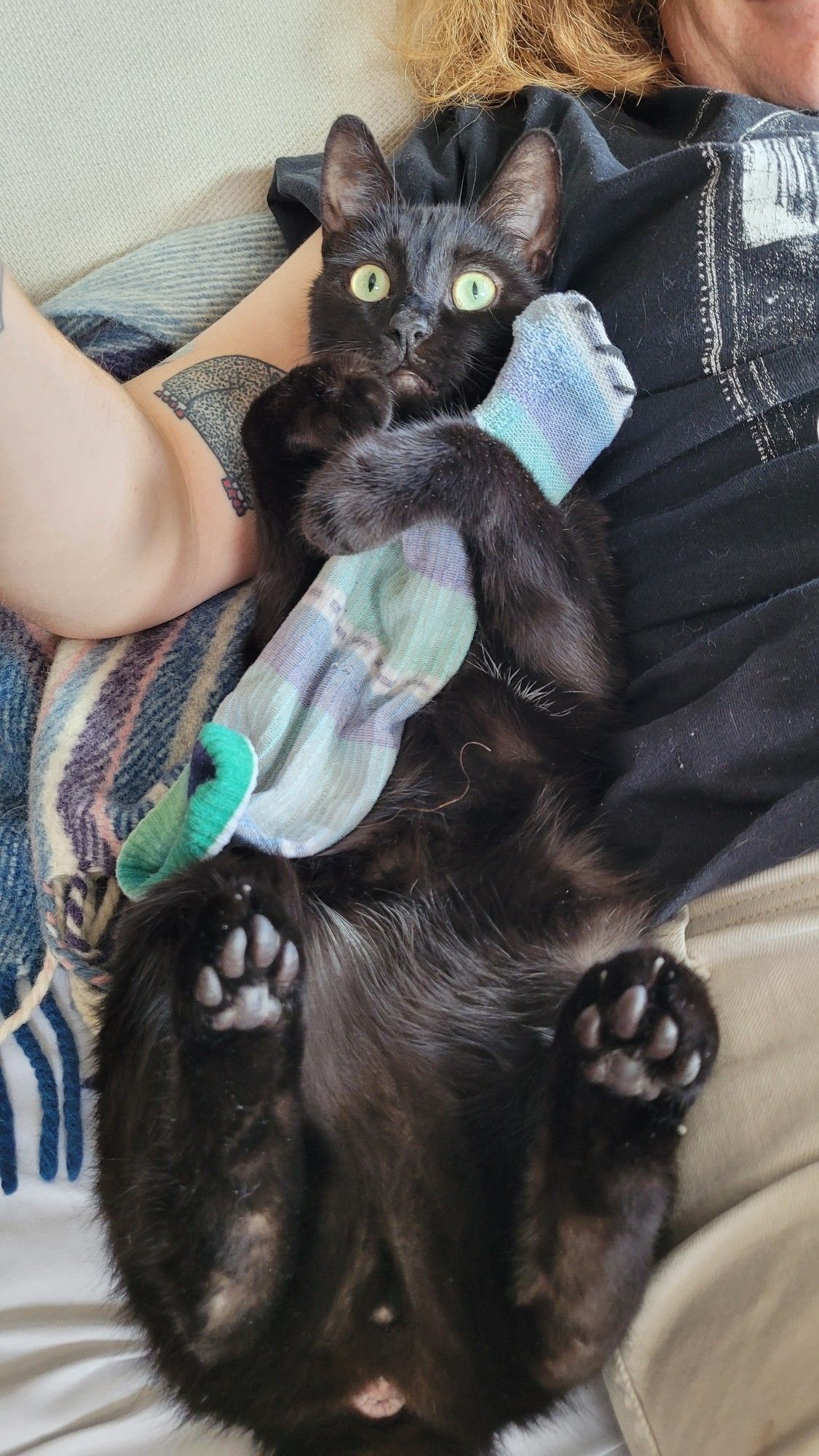 a black cat laying on his back next to my beautiful wife who is slightly out of frame. his paws are in the air and he is holding a singular sock. he looks surprised, perturbed maybe