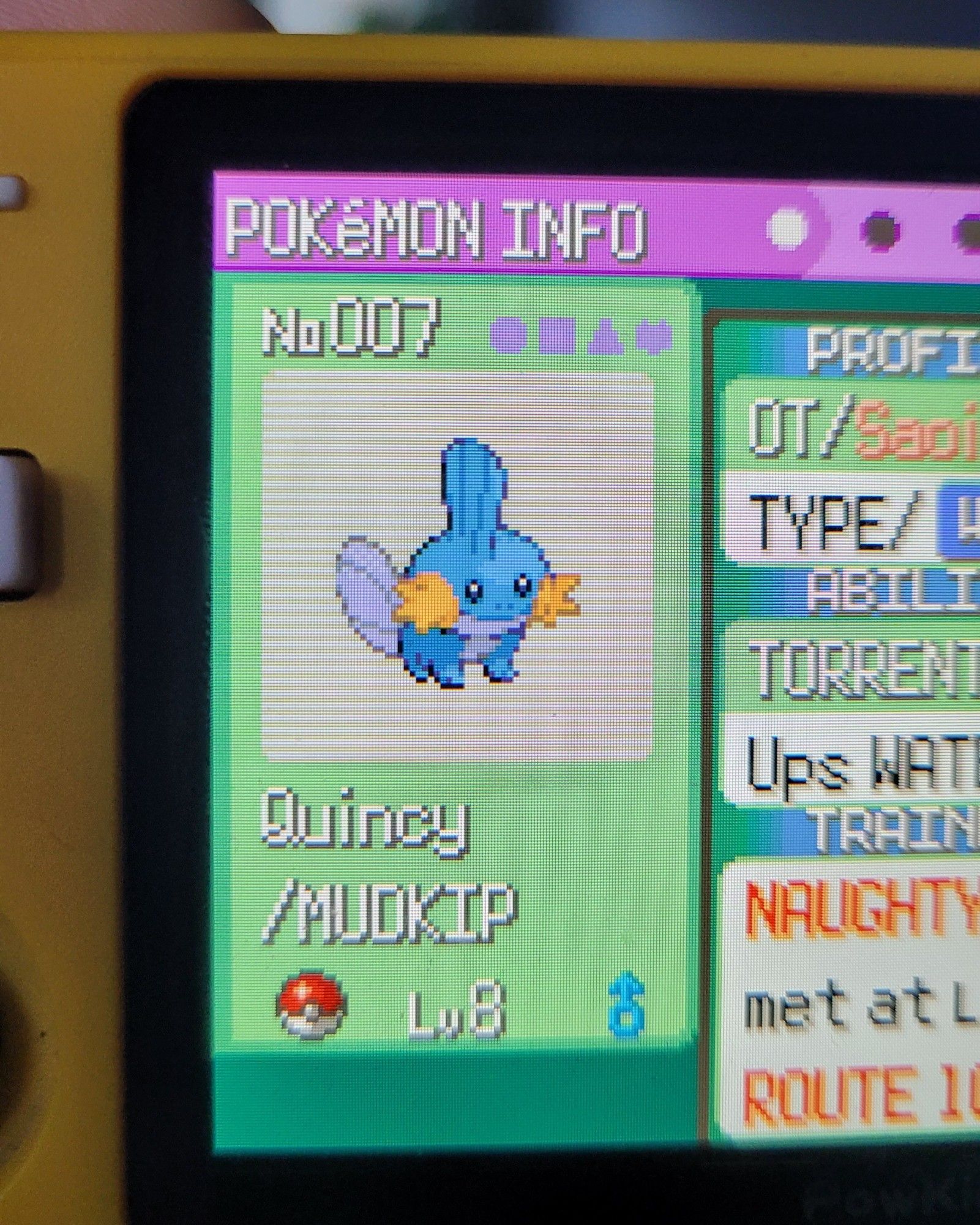 a picture of my mudkip in pokemon emerald