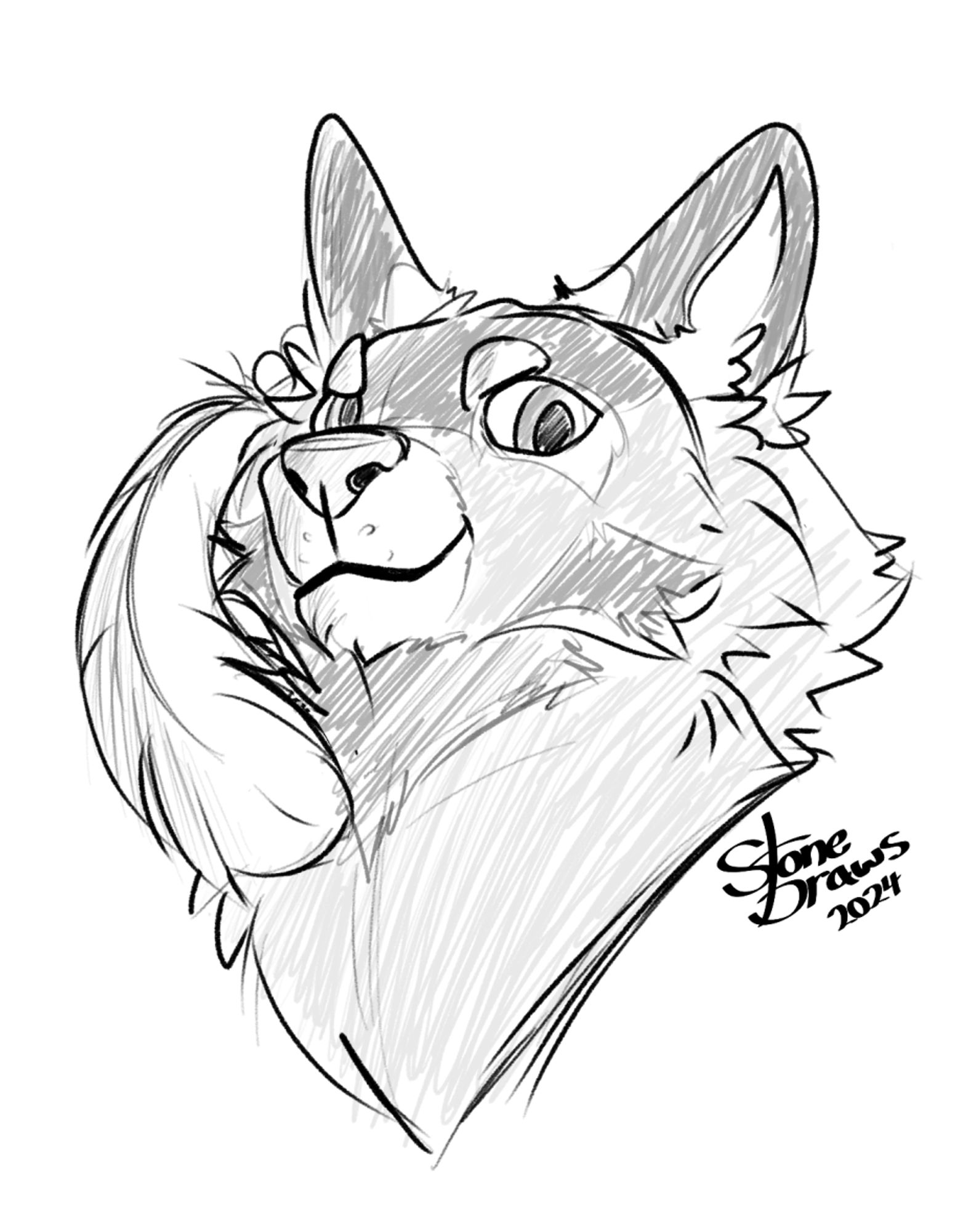 Bust sketch of a wolf character