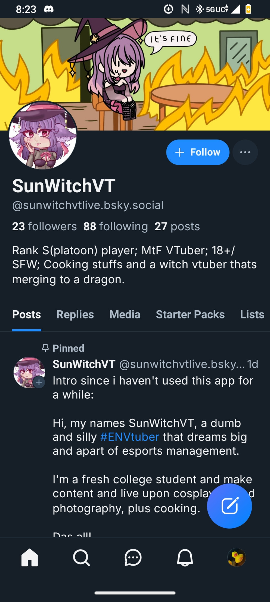 bsky profile of SunWitchVT