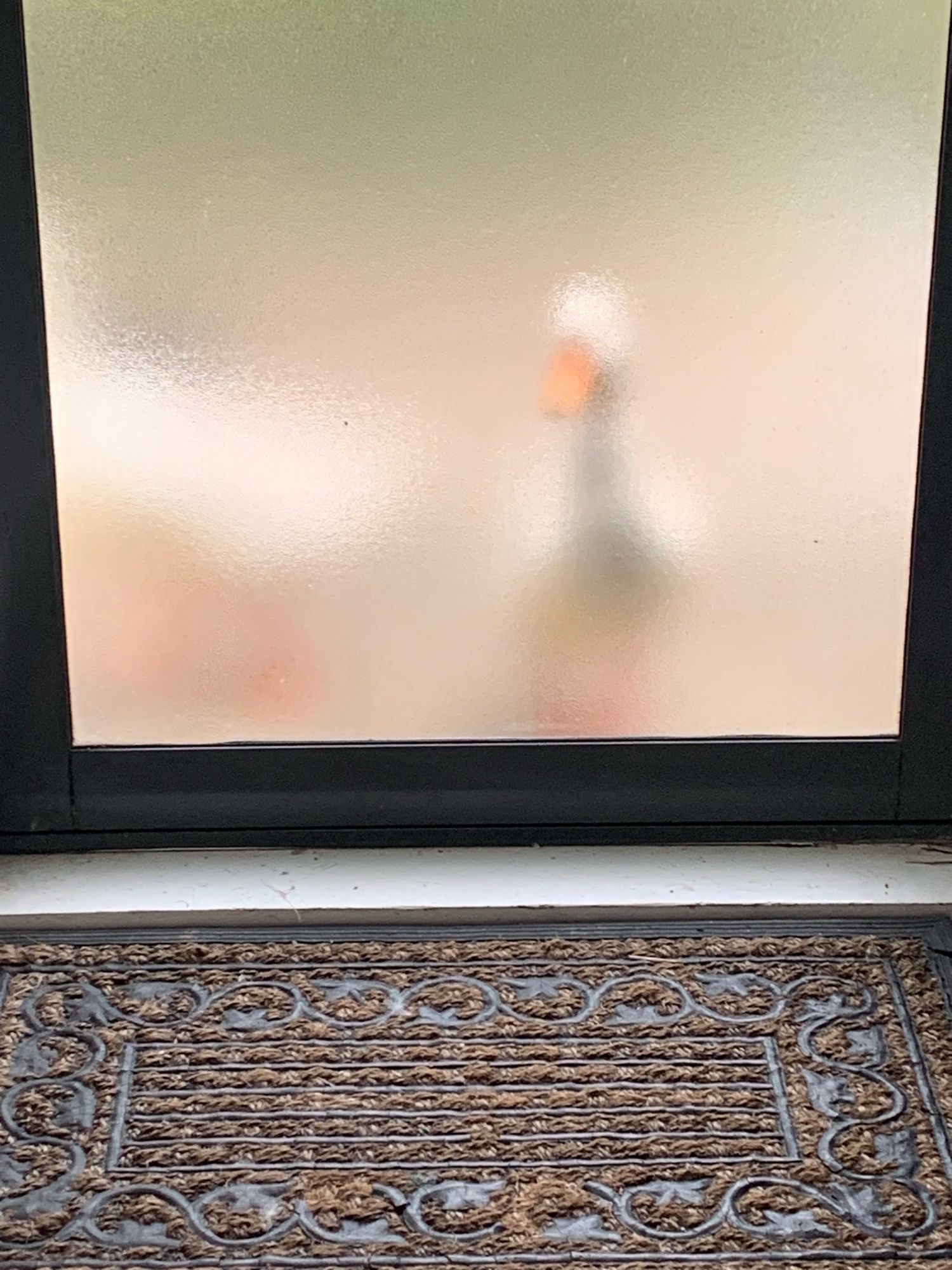 A duck visible through a frosted glass pane of a front door, outside on the porch.