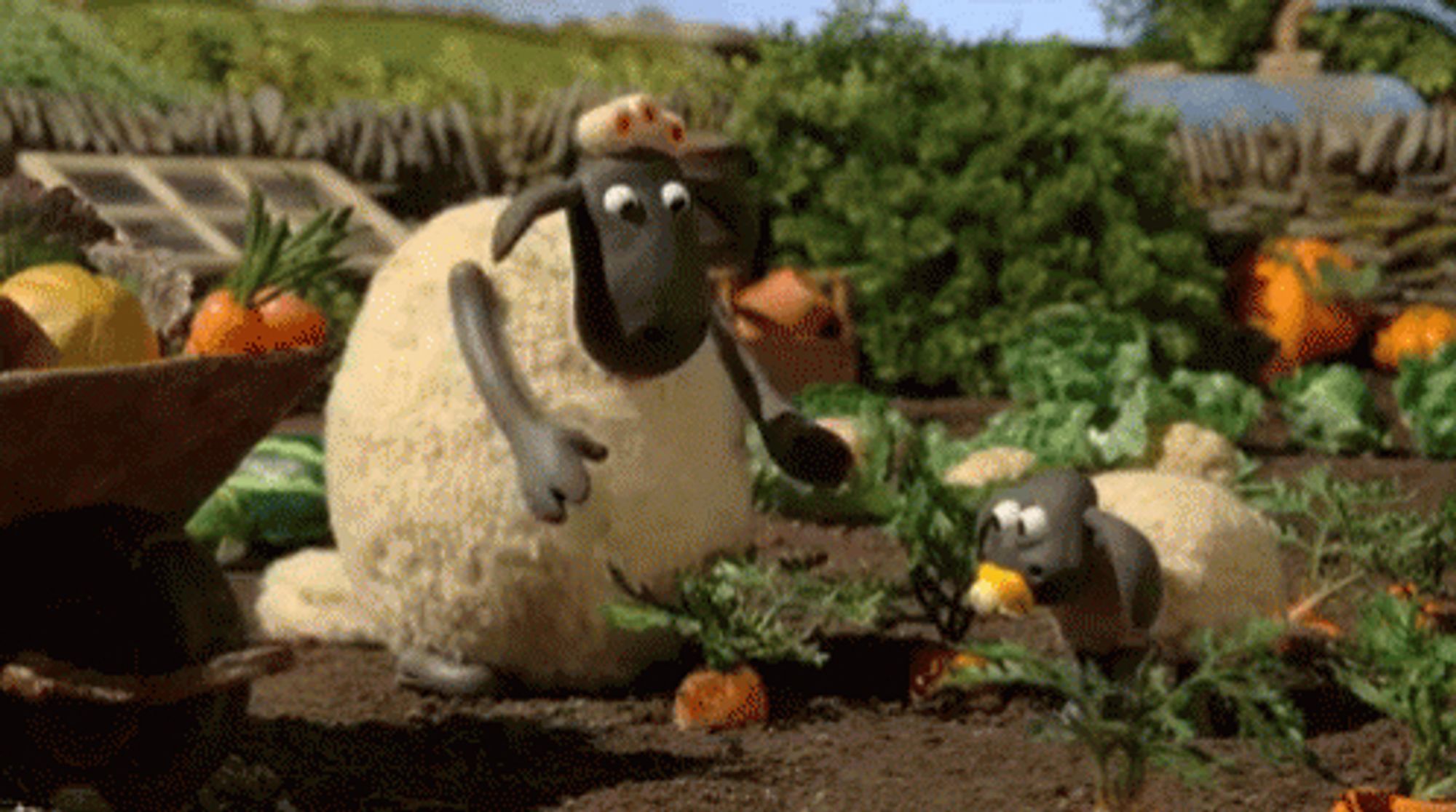 A still of shaun the sheep about to harvest himself a little carrot