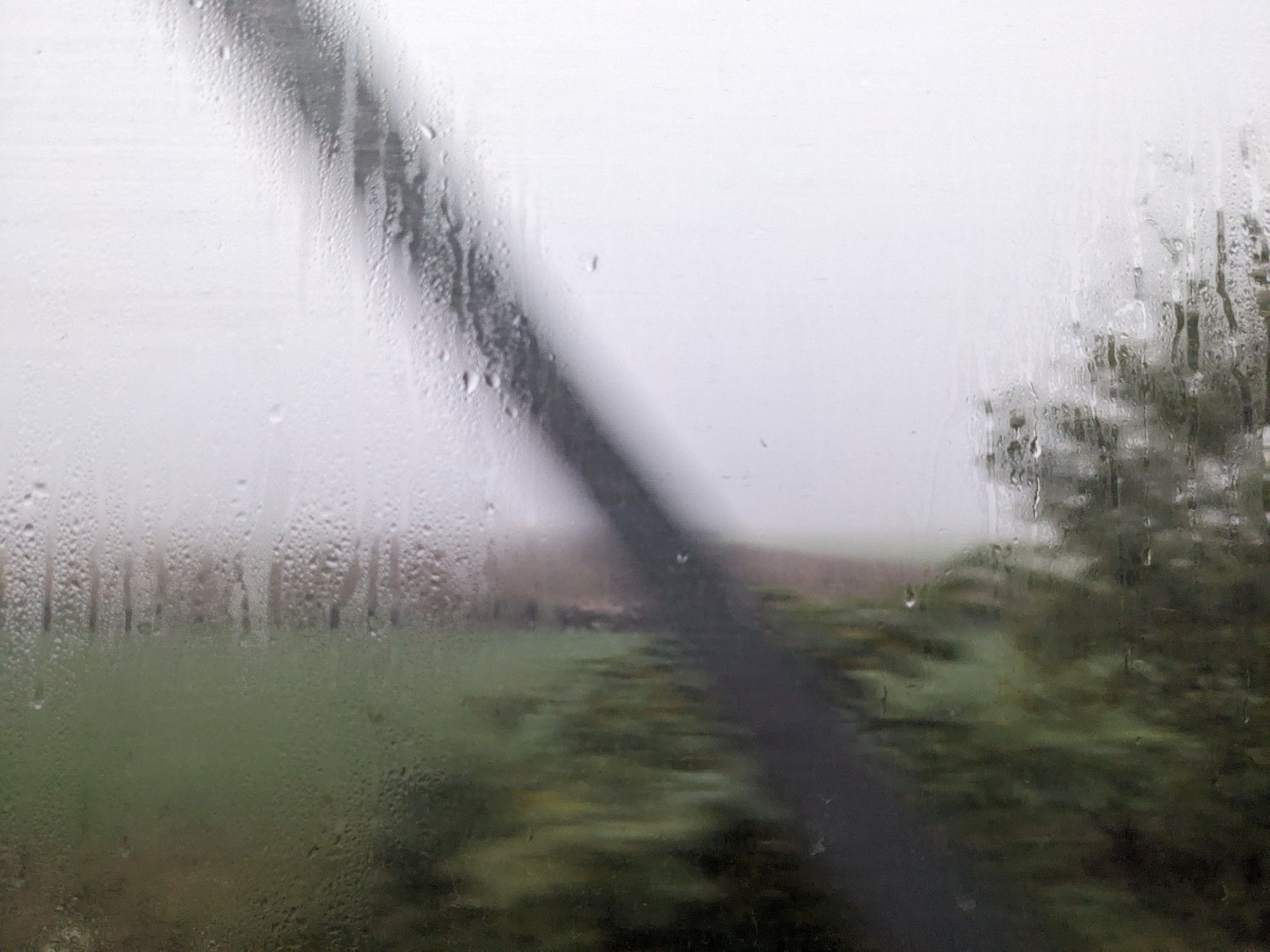 Very misty view from a train