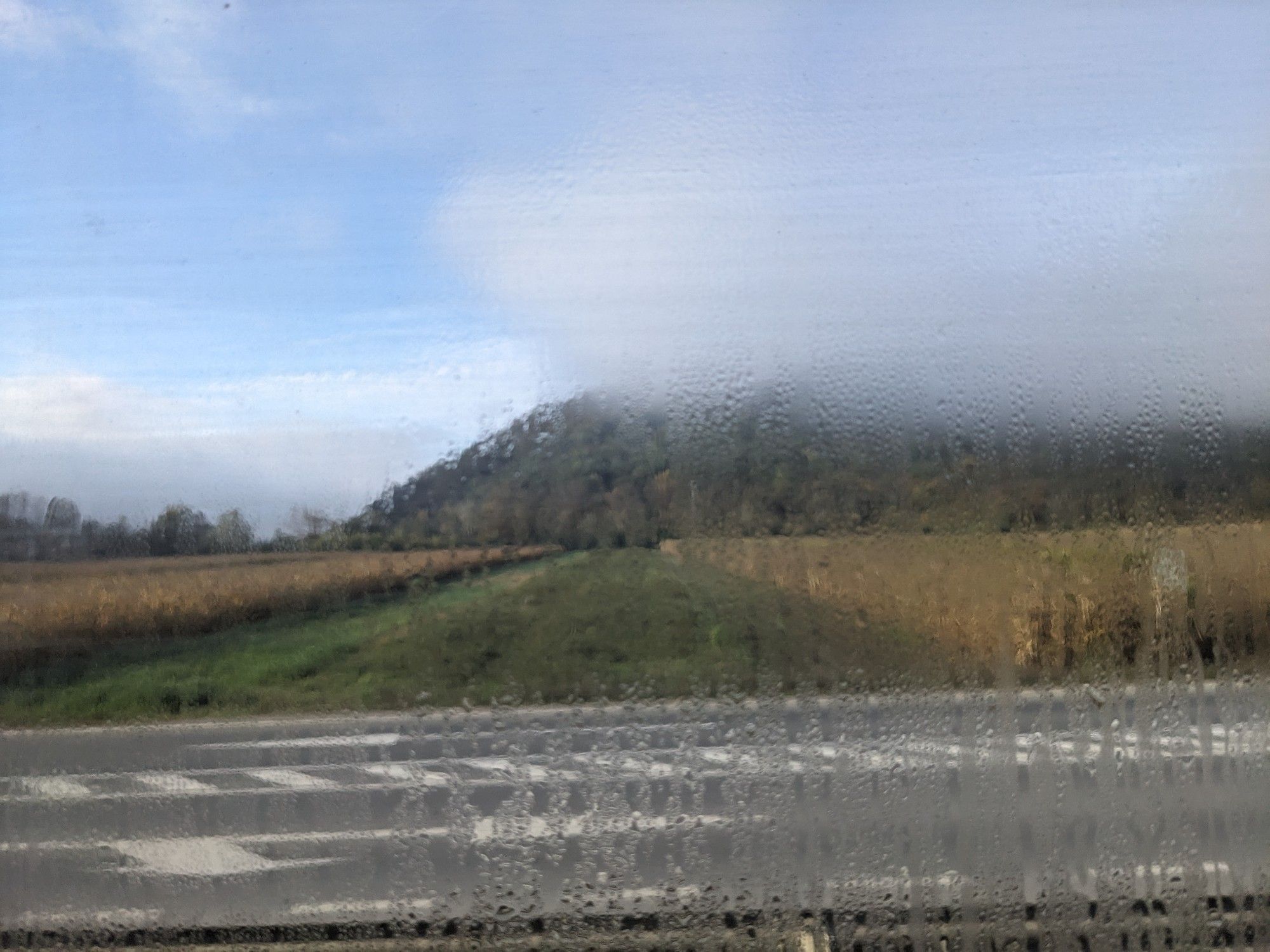 Hillside emerging from mist