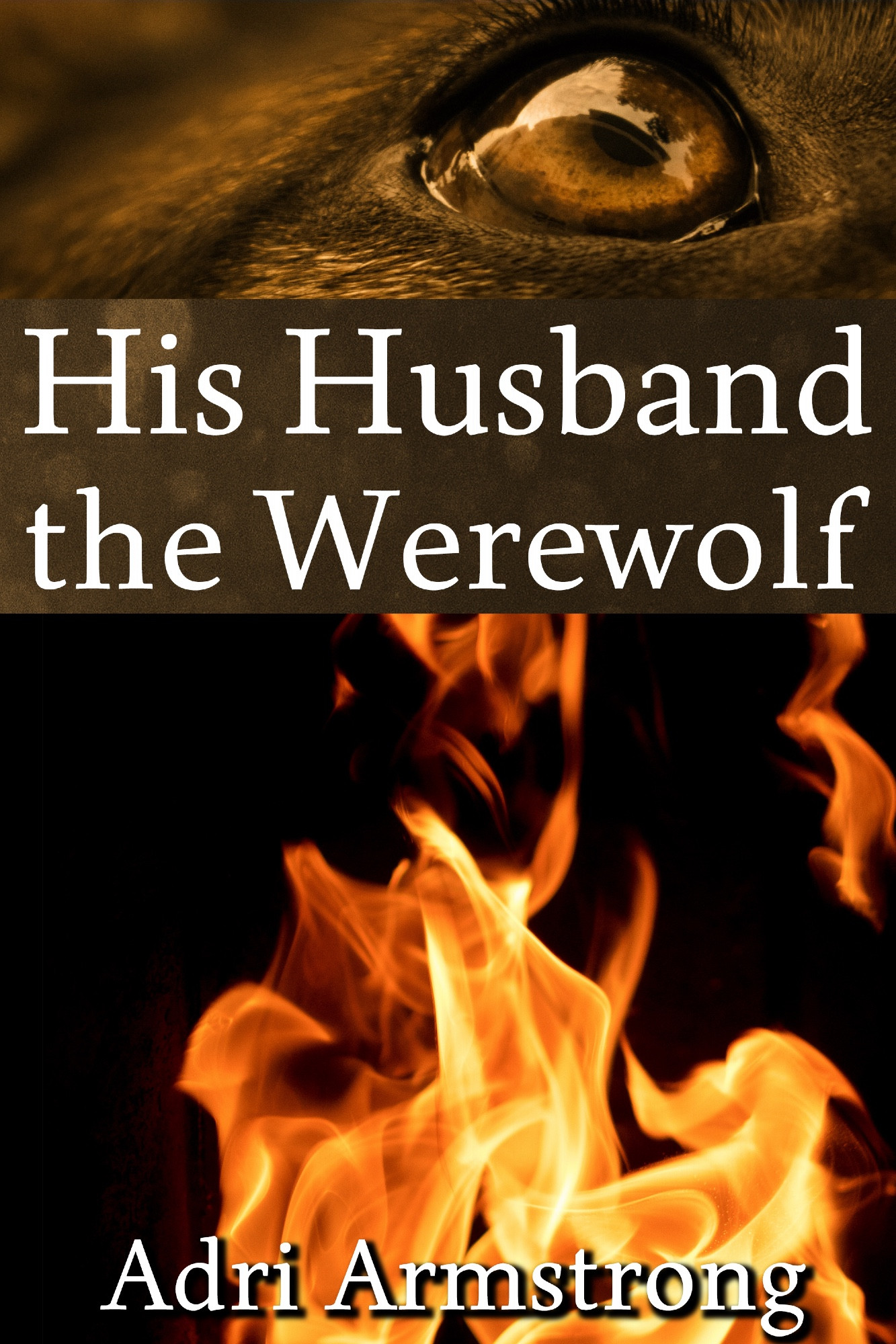 His Husband the Werewolf, Adri Armstrong. Book cover depicts two panels: an open flame on the bottom and a closeup of a canine eye on the top.