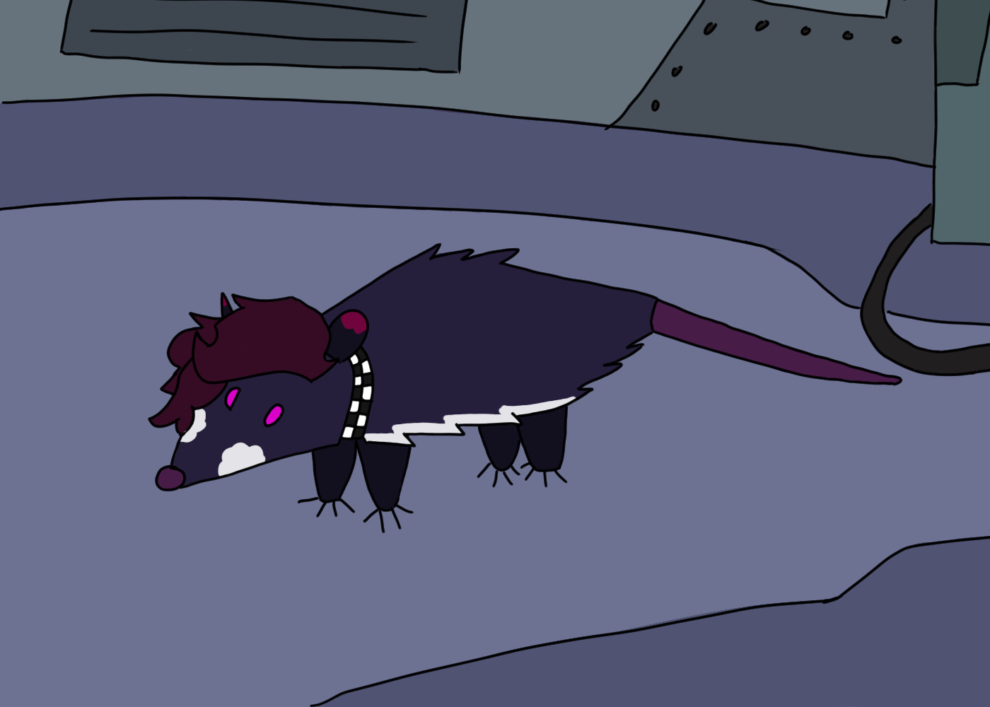 Drawing of a dark Virginia opossum