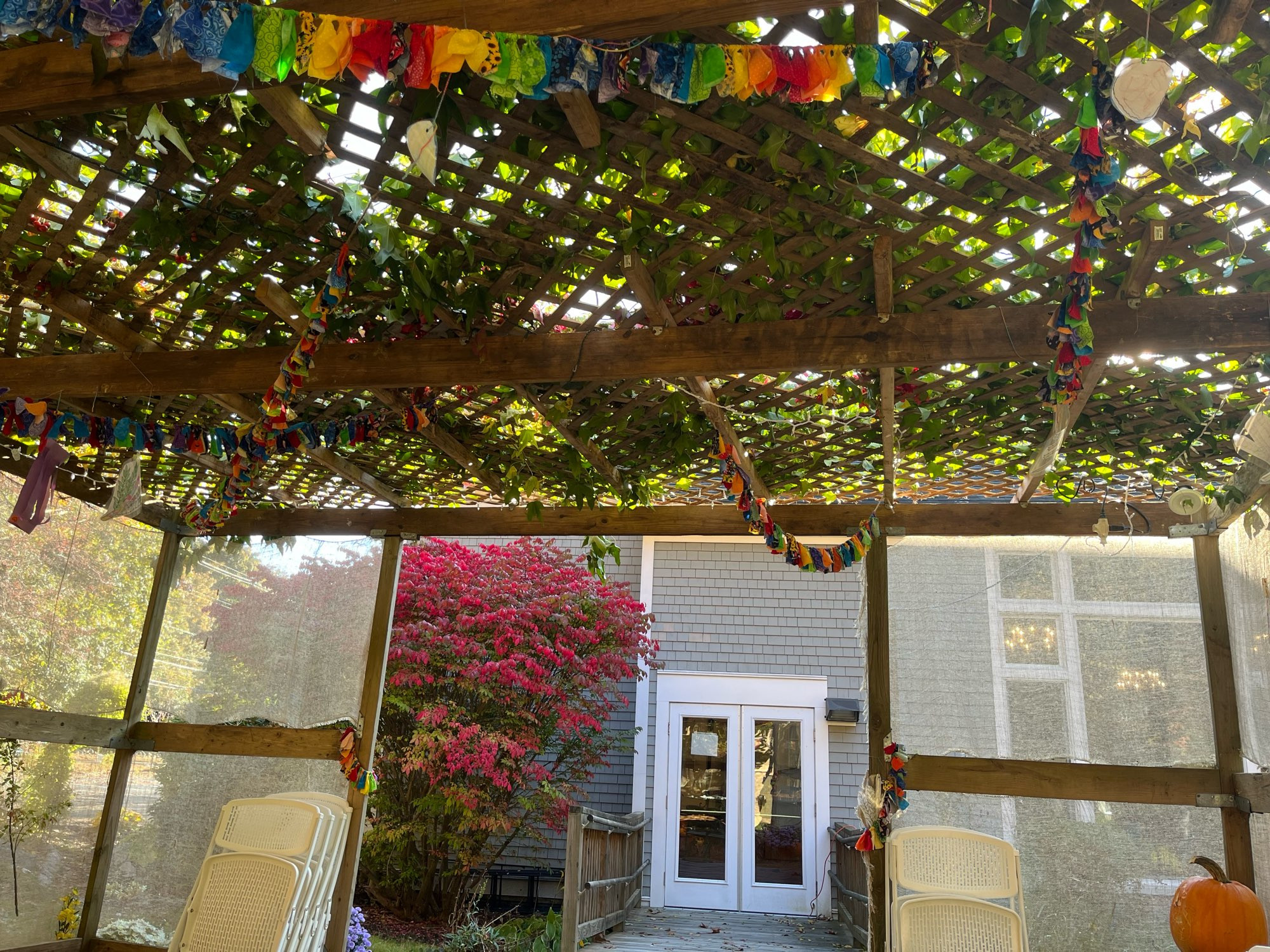 A sukkah with a lattice roof and real branches for s’chach. The walls are made of a see-through material attached to a wooden frame and it is decorated with rainbow fabric streamers. A pumpkin sits in the corner. 