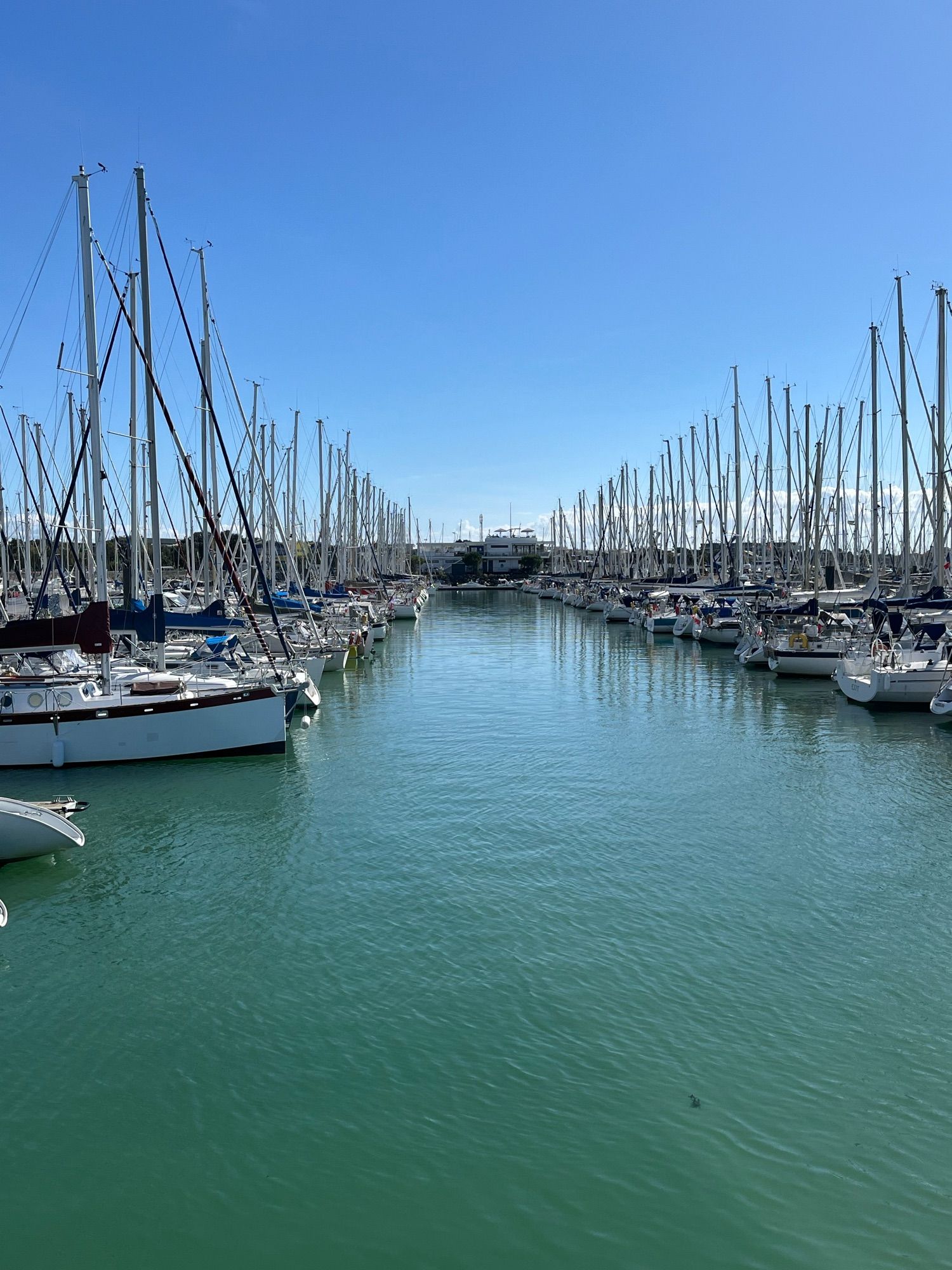 Le port et ses voiliers.