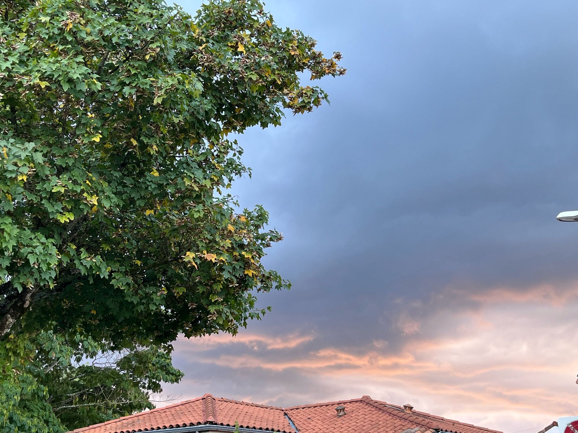 Ciel bleu gris avec le bas rose et blanc au-dessus des toits. Sur le côté, un arbre.