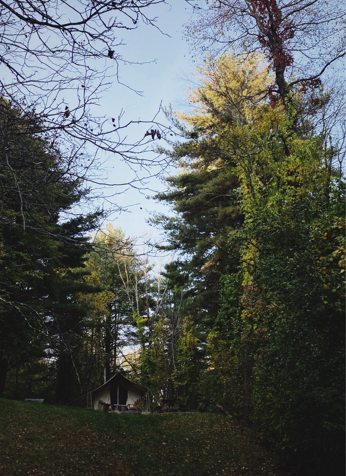 Safari style tent in upstate New York, surrounded by trees and atop a hill.