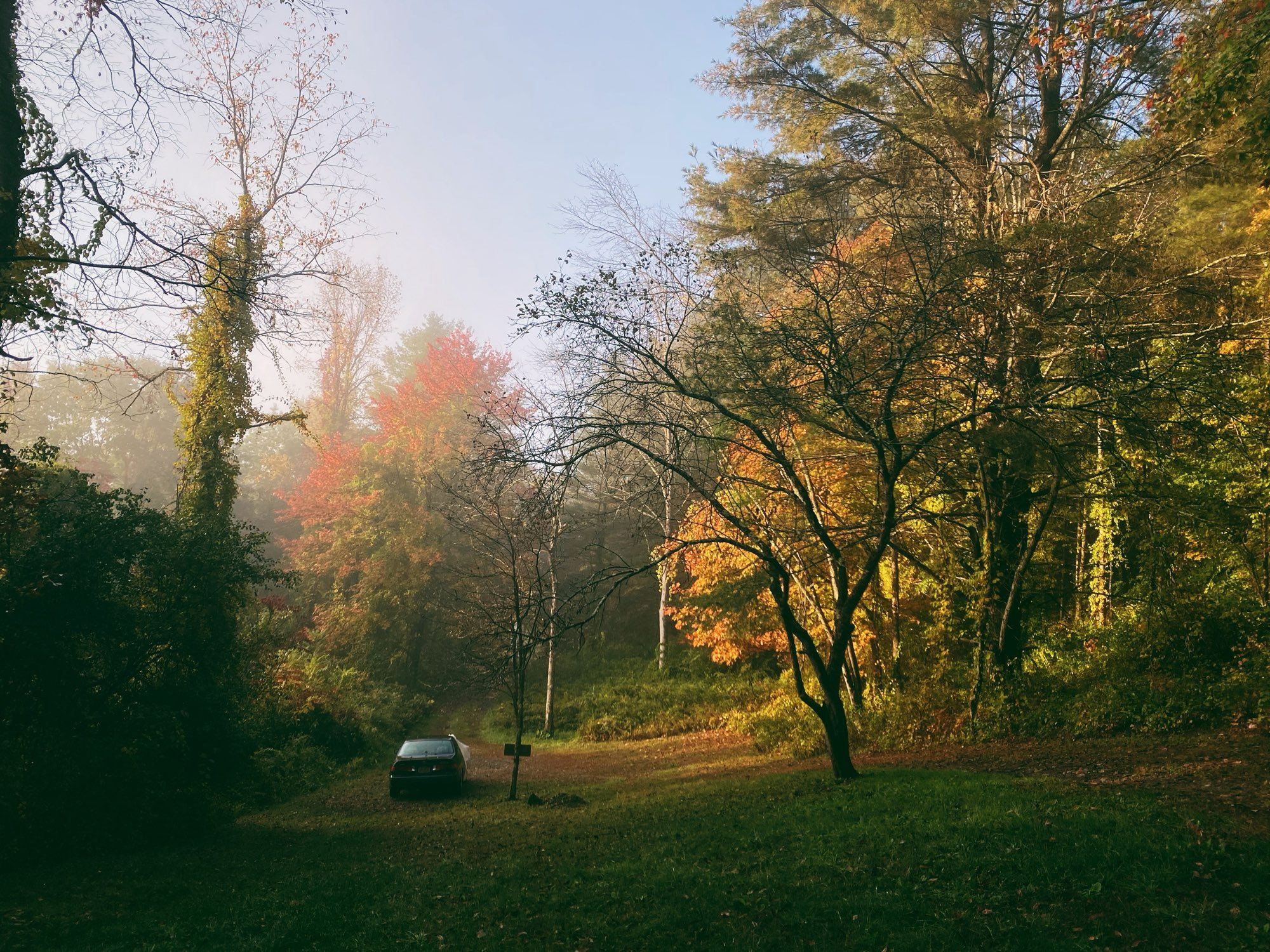 Misty autumn morning in upstate New York with changing colored leaves and a very soft fog.