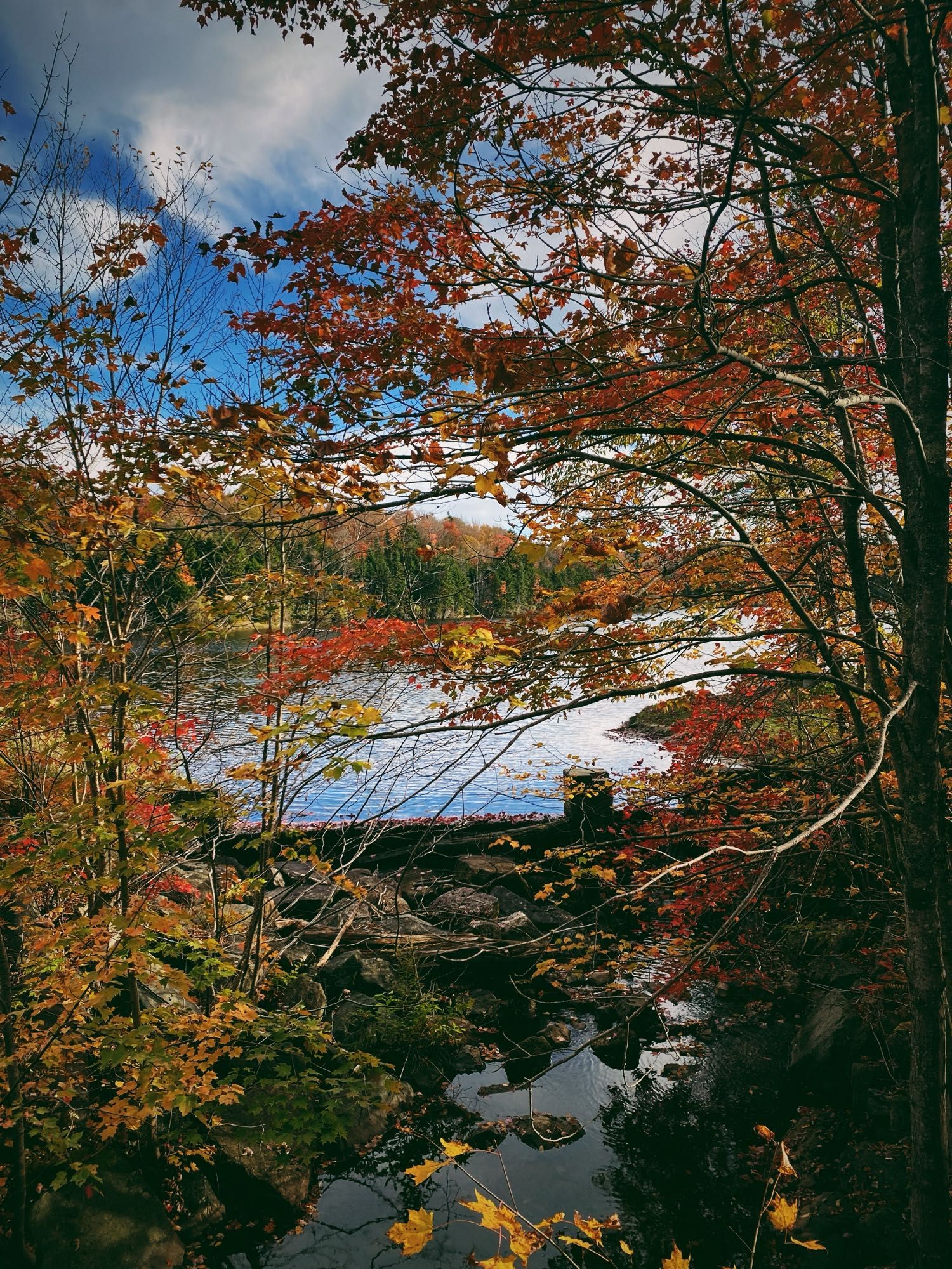 Reservoir in Vermont surrounded by changing leaves and a blue sky.