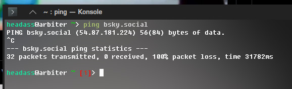 terminal window, tried pinging "bsky.social" and 0 of 32 packets returned before i killed the process